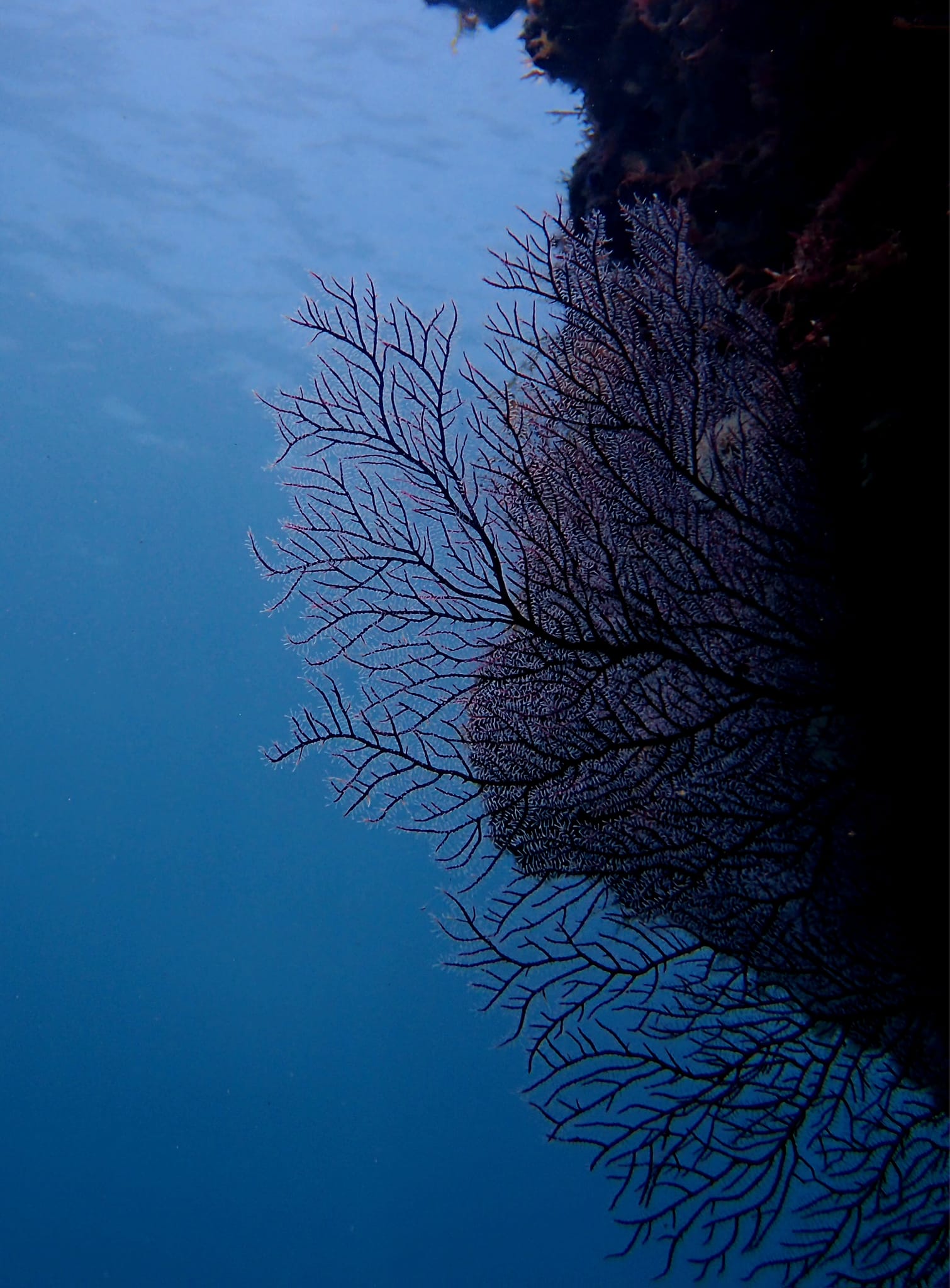 448572551_3186370158161150_349599712994525004_n