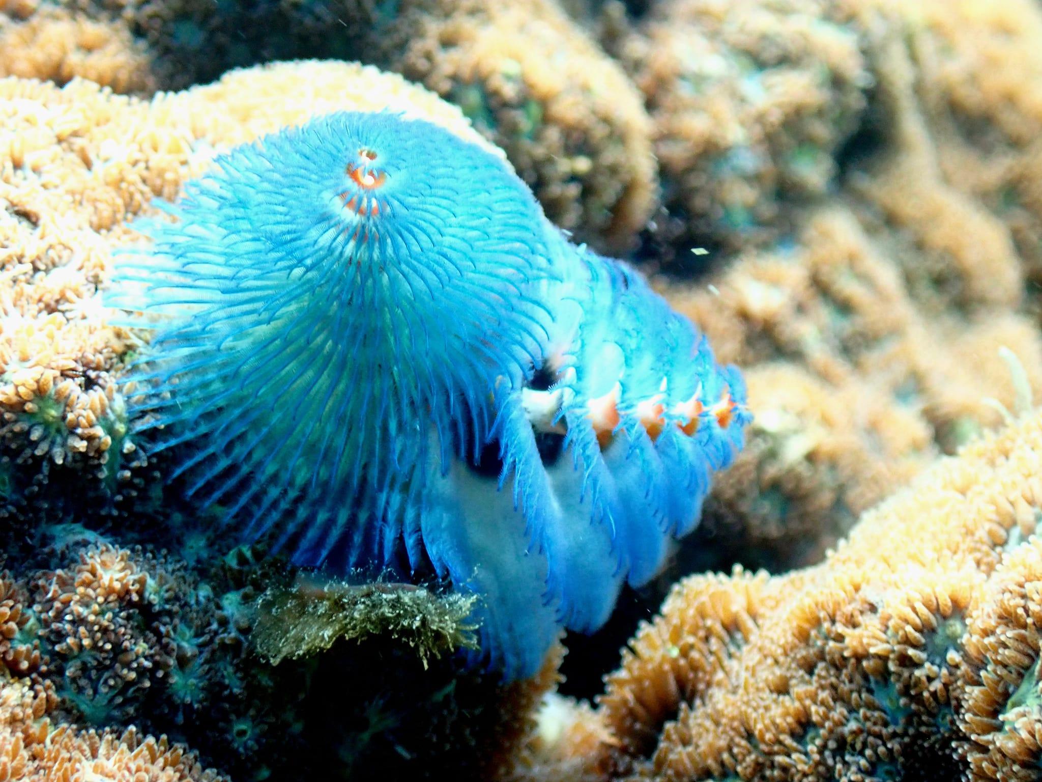 448583731_3186370054827827_6338674240198965297_n