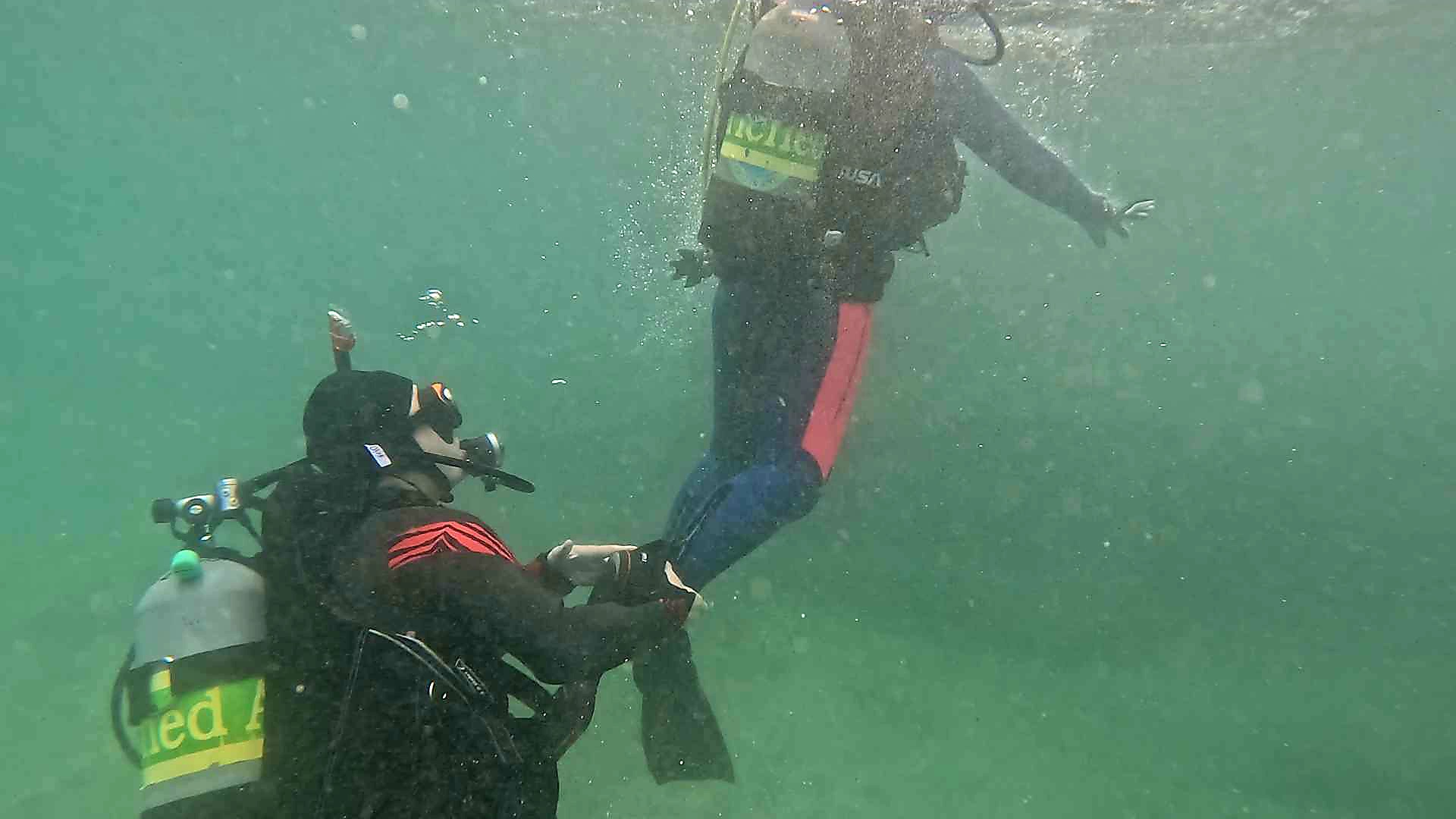 Messenger_creation_6653159f-971a-4280-bf6a-dfcf7c91d6ba