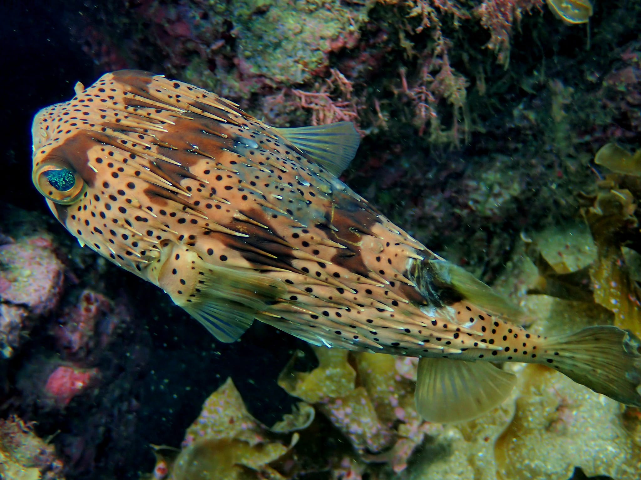 450066239_3200815916716574_3279609547045471607_n