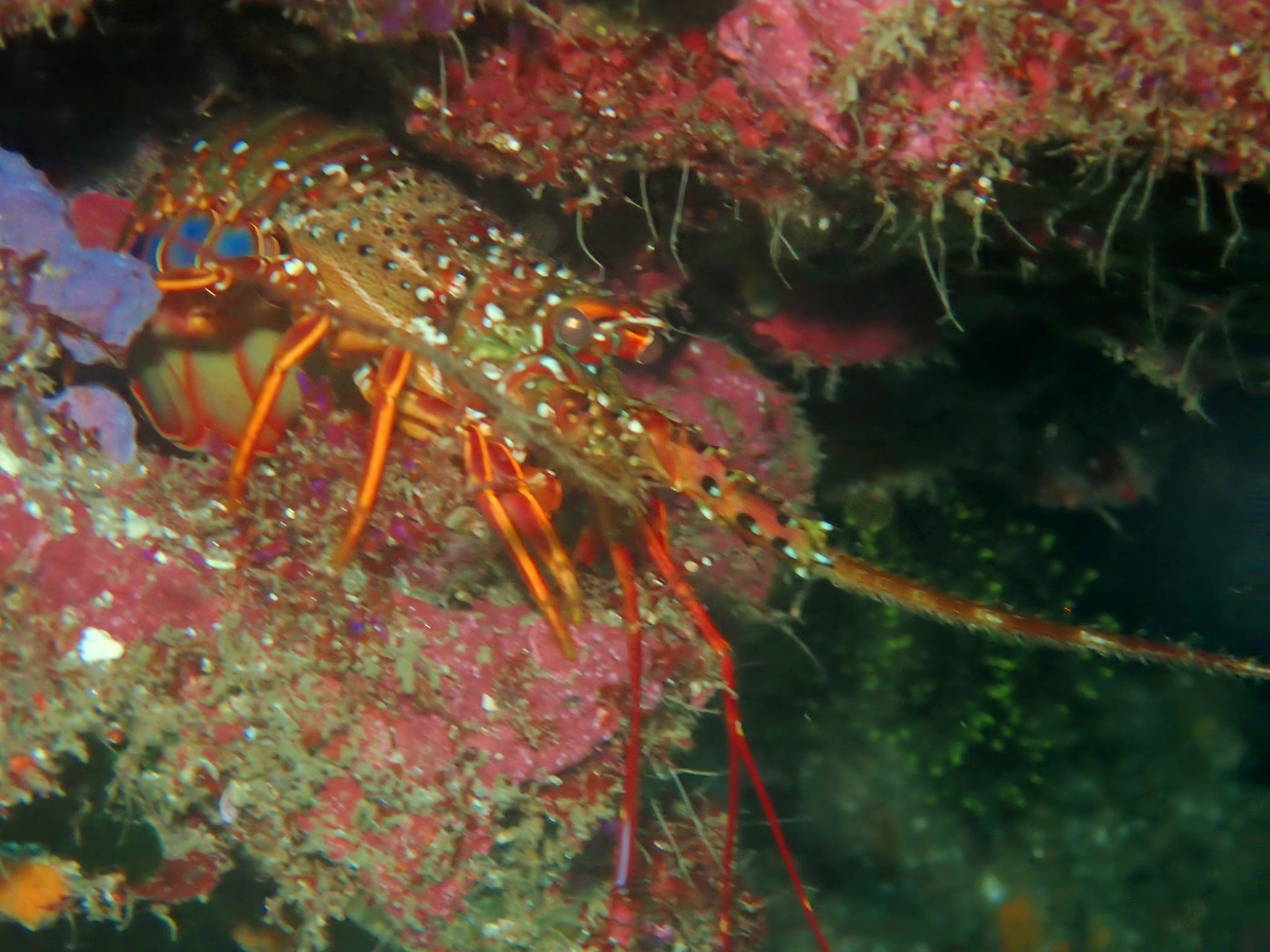 450127212_3200816036716562_7839536809771358588_n