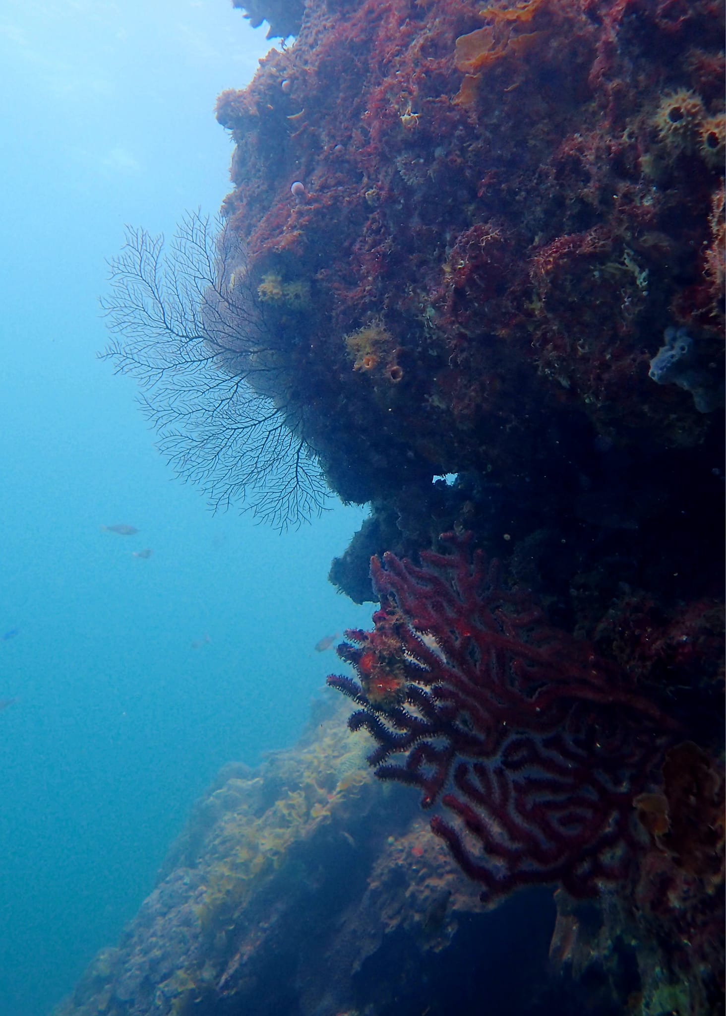 450211332_3200816010049898_8678462042428405514_n