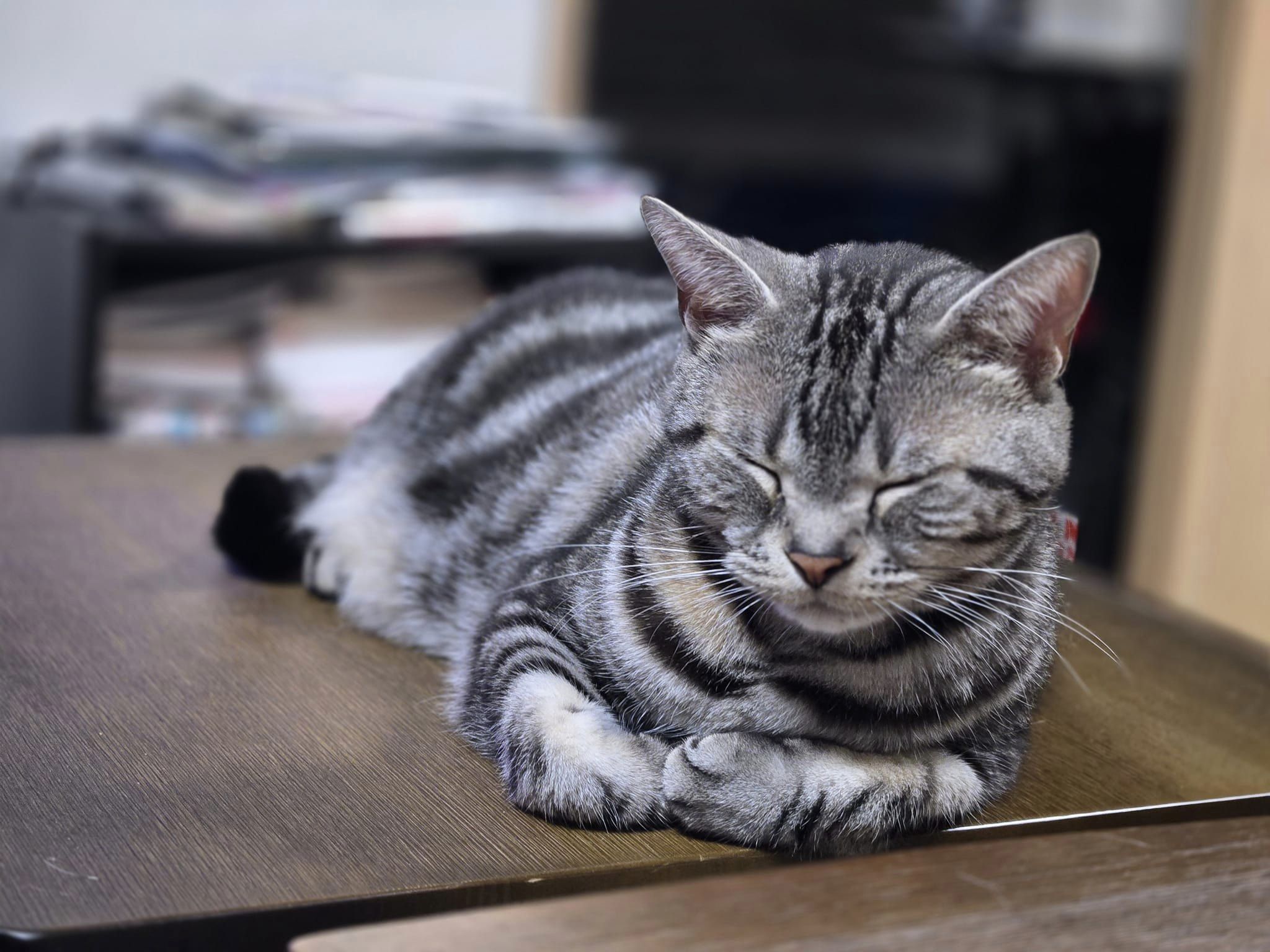 451755219_3211357695662396_8887231386149923791_n