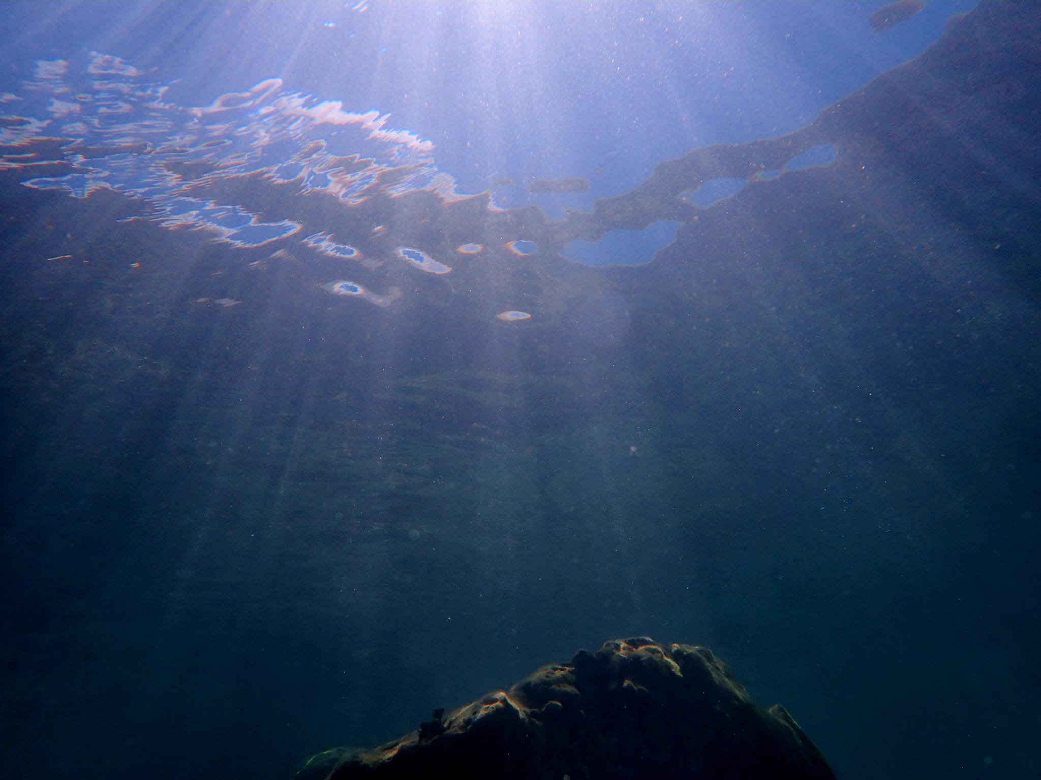 453438700_3221592771305555_8482585249217426733_n