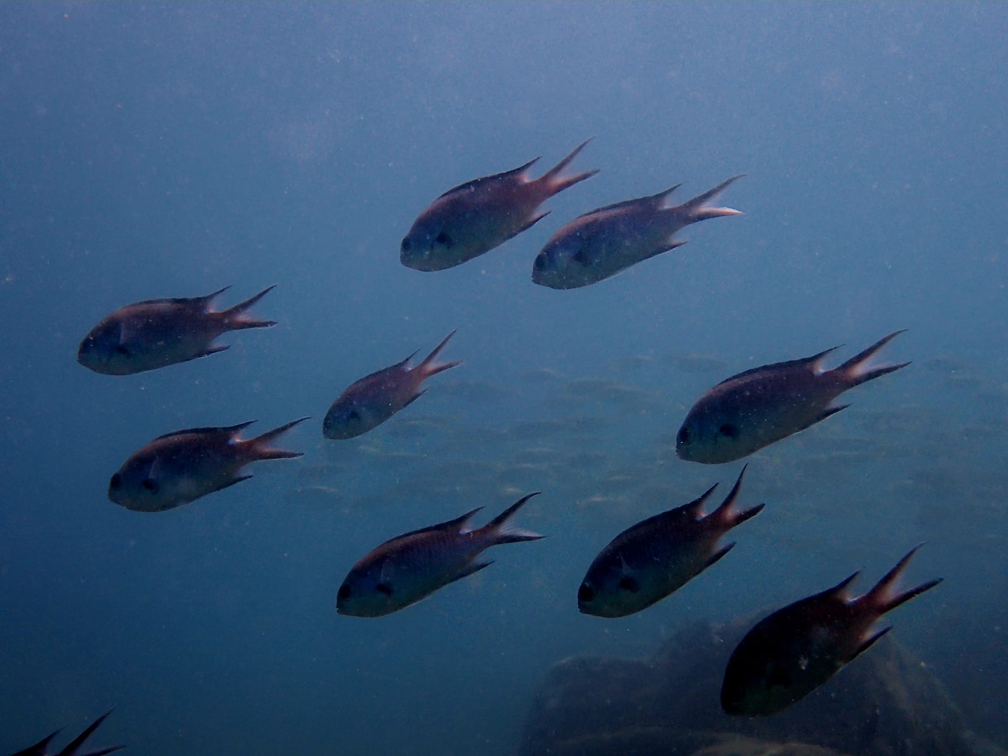 453499540_3221592827972216_955157909175669223_n