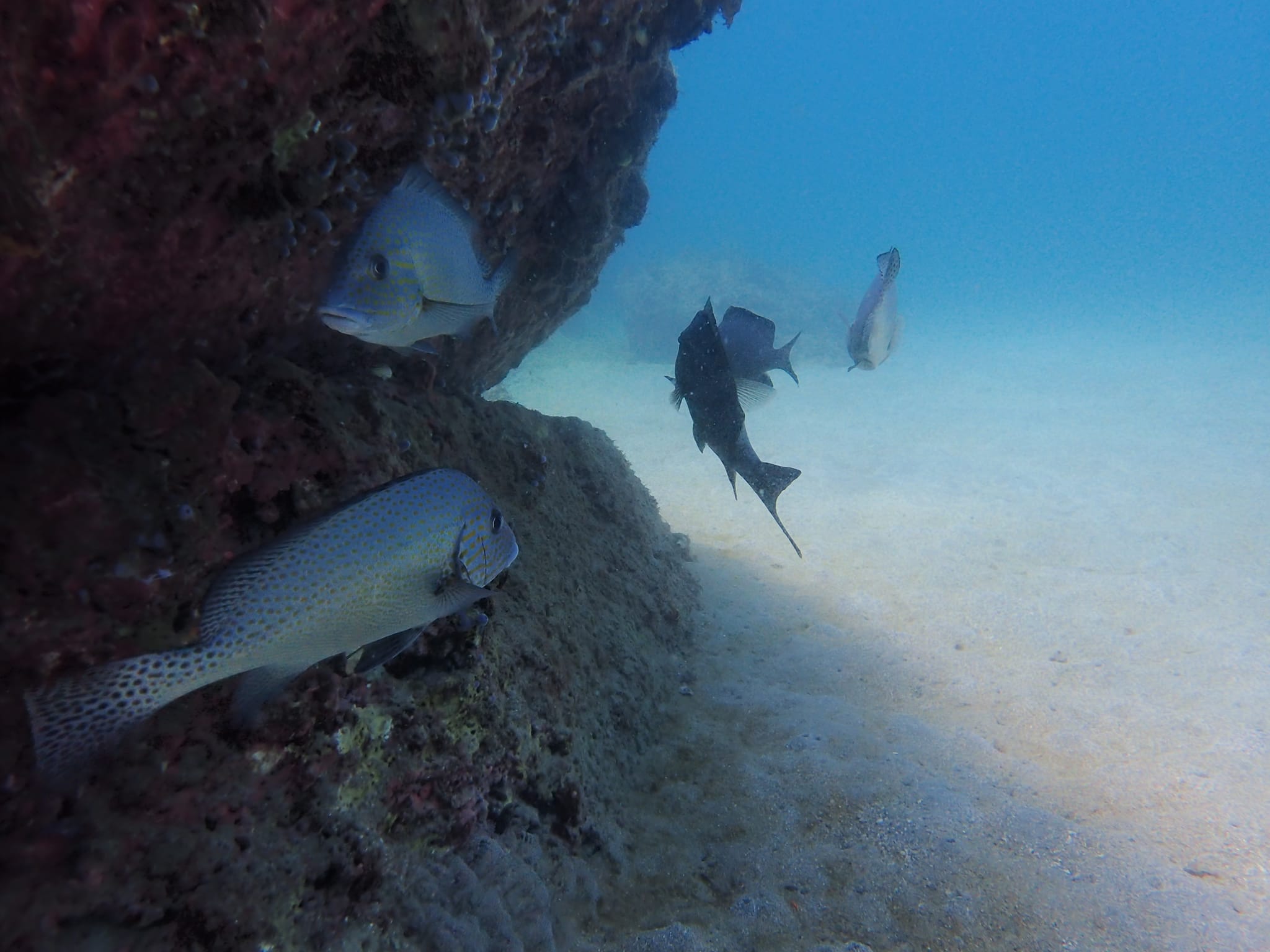 453723225_3224331304365035_704884014526723160_n