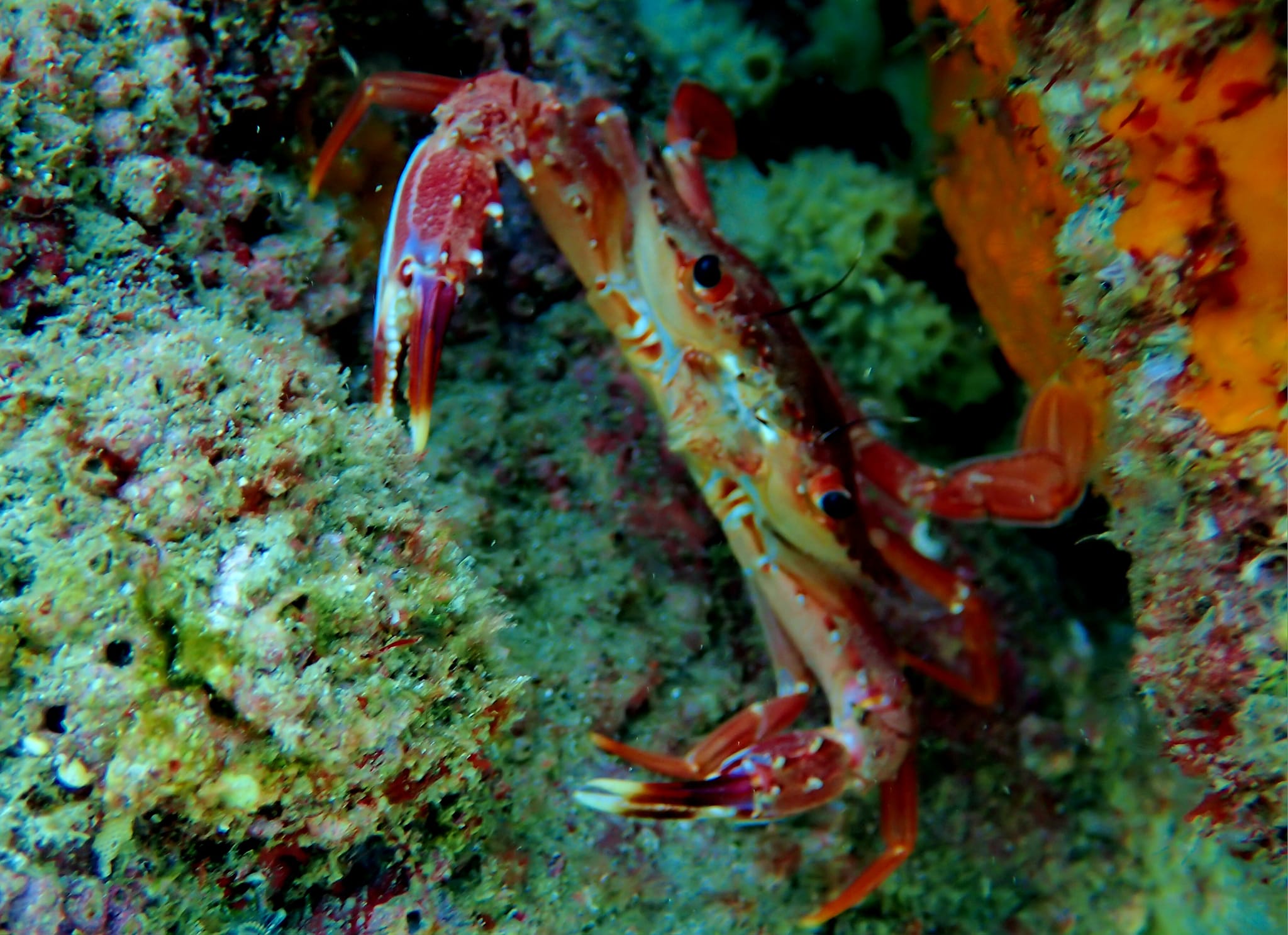 453743365_3224331634365002_4720099880456803936_n