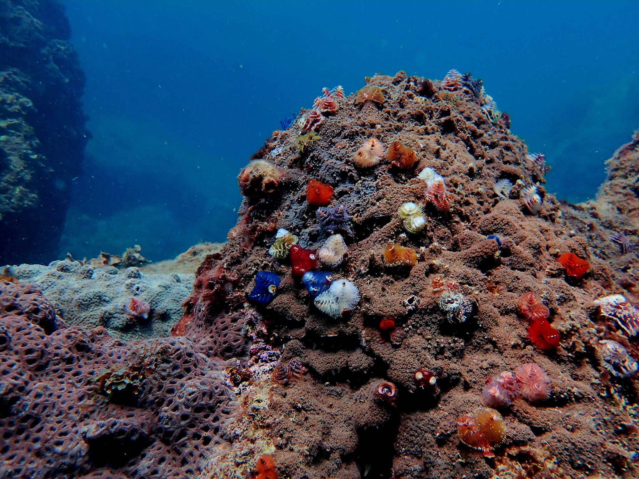 454202116_3224331527698346_5026653646007678588_n