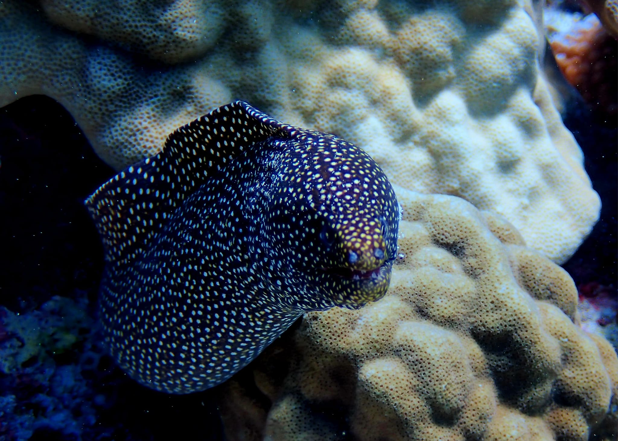 454371119_3229188783879287_8643643684296994038_n