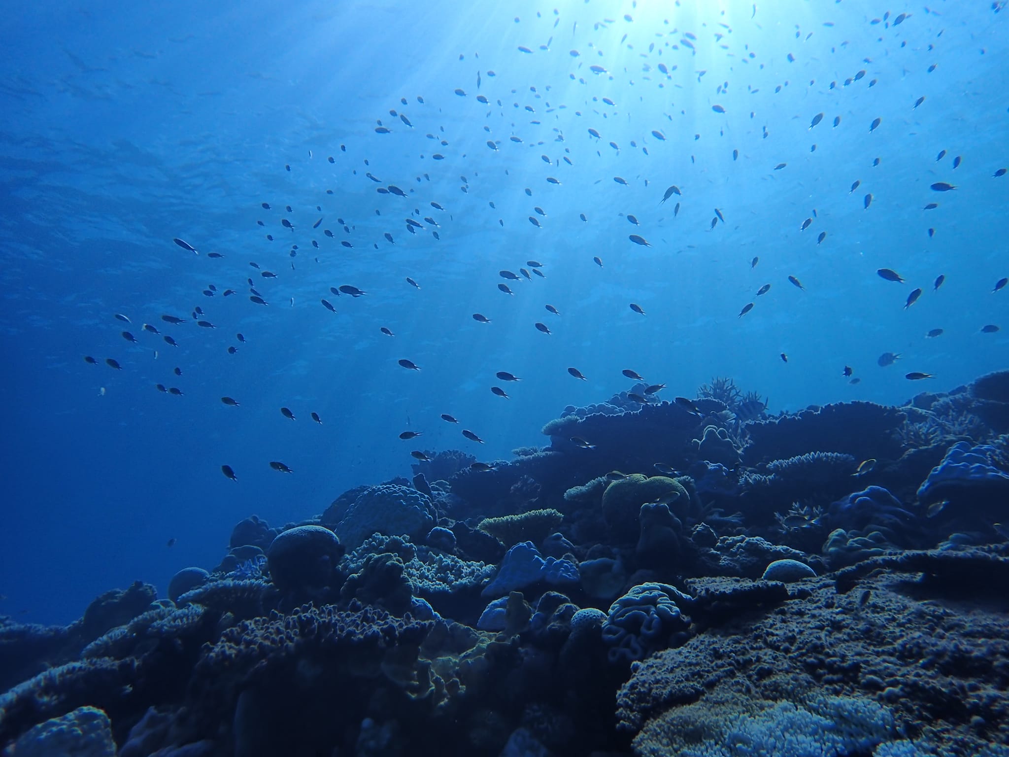 454405950_3229188847212614_4113995005839471612_n