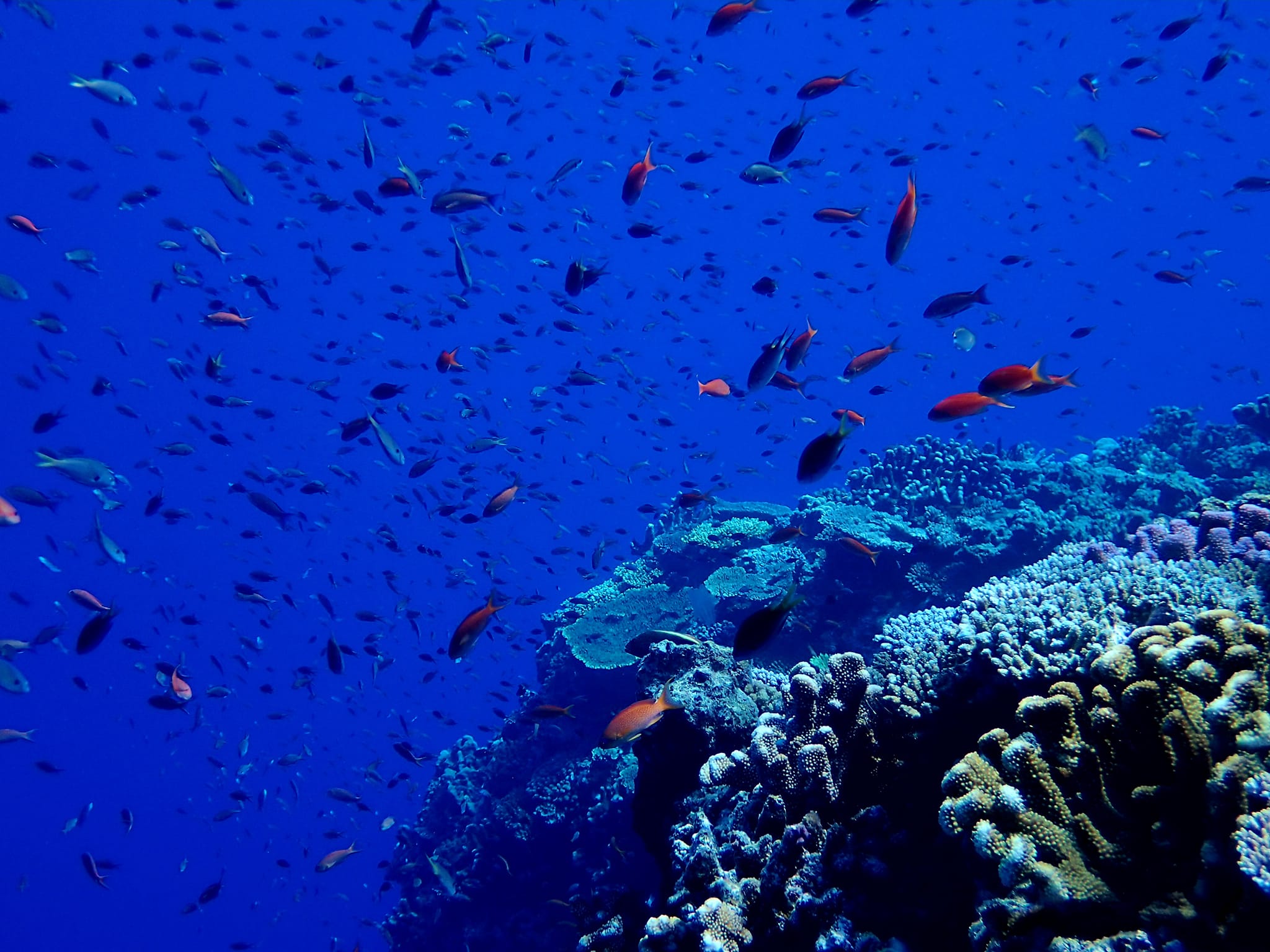 454442544_3230230640441768_3584943254177498649_n