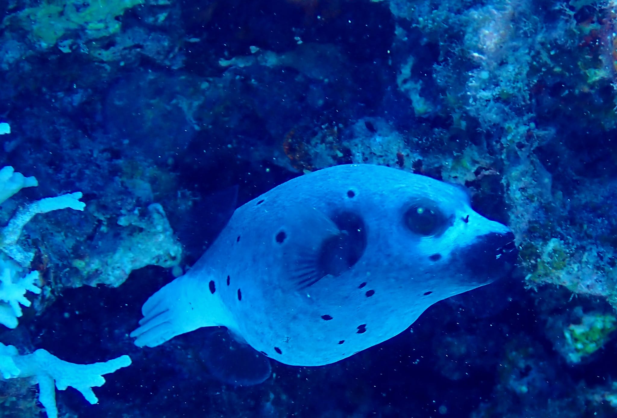 454580375_3229188967212602_2557813384553710394_n