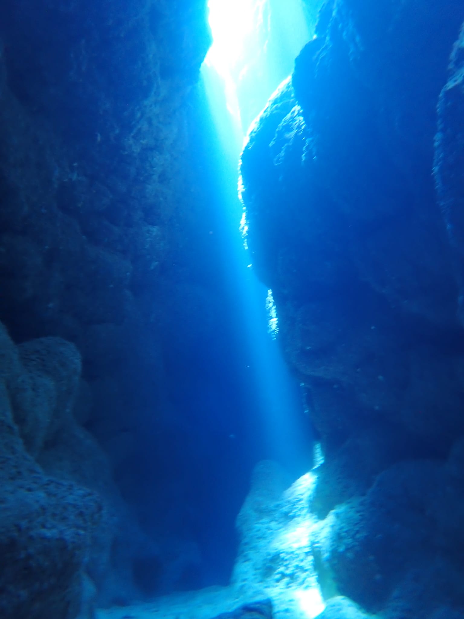 454581316_3231999483598217_3711059356059345413_n