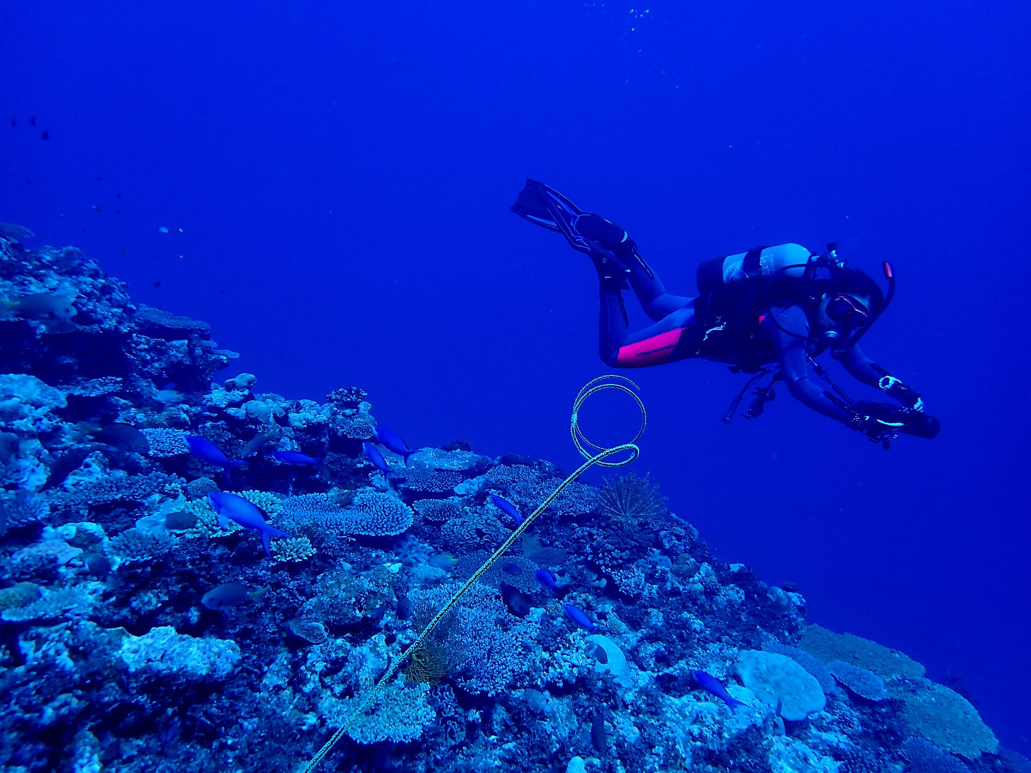 454650284_3231999423598223_3339997595190037361_n