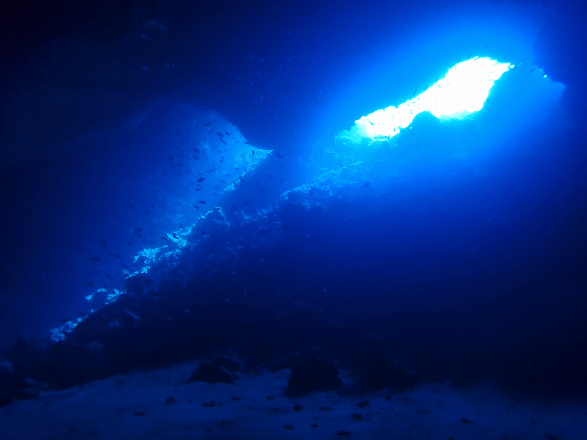 454651180_3230230557108443_597179862716814869_n