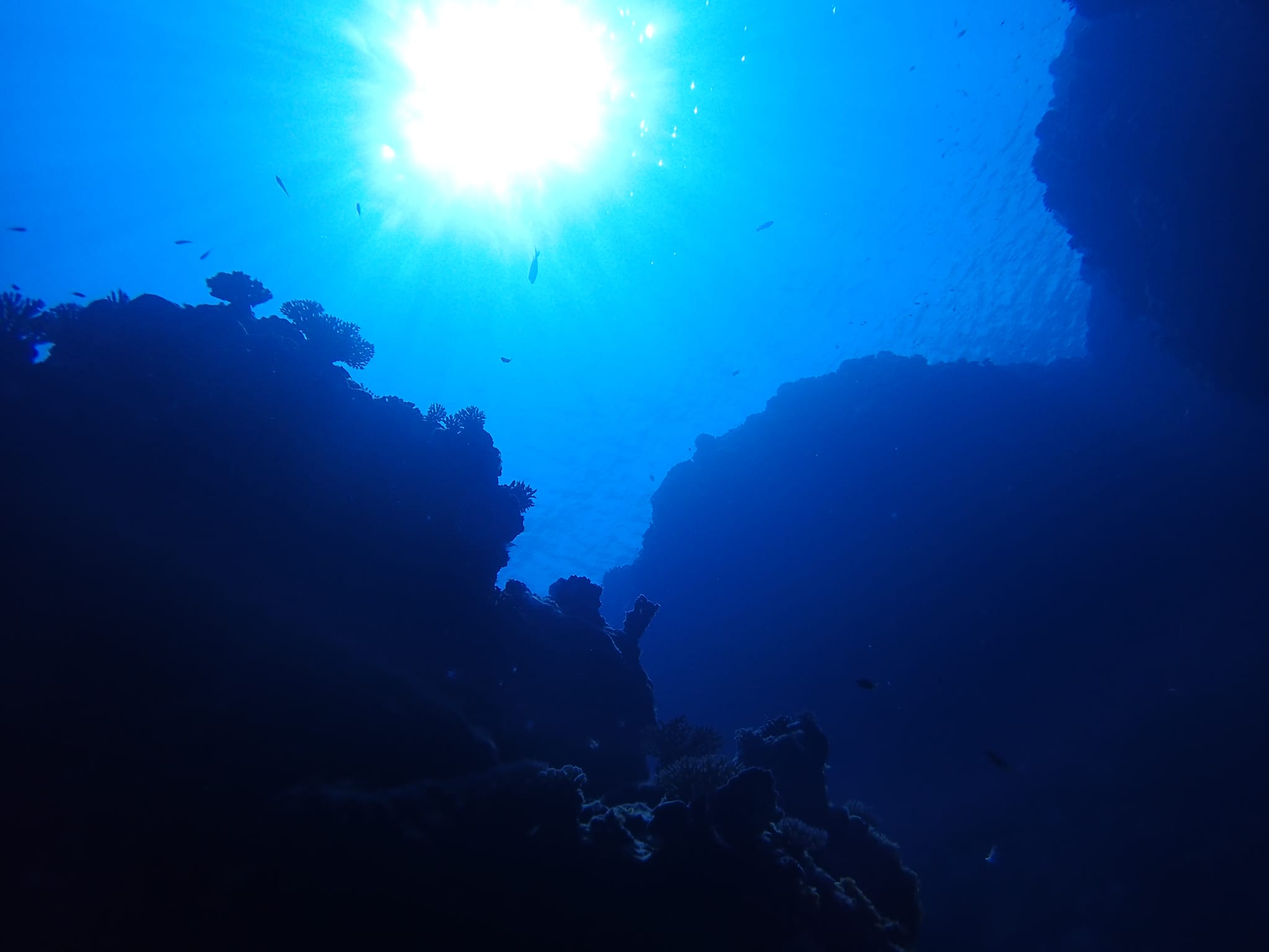 454695555_3231999330264899_2435477564413562829_n