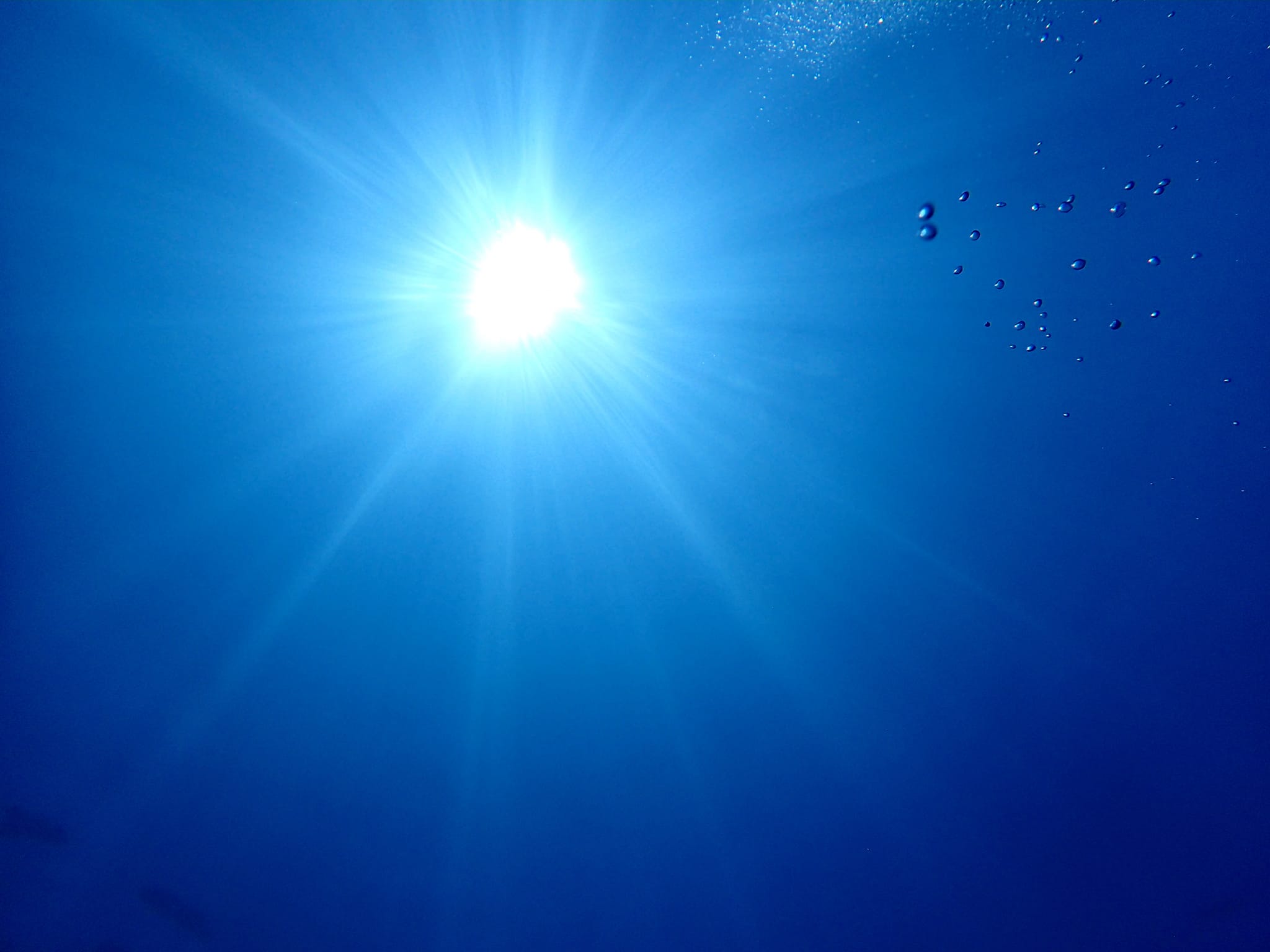 454751400_3231058647025634_3415585675730688503_n