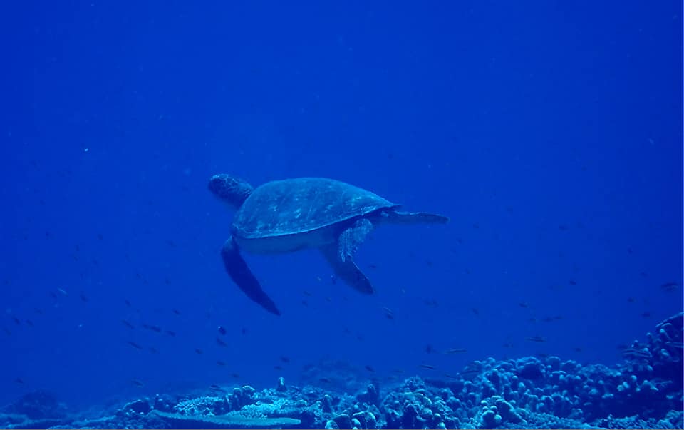 454786100_3231058003692365_1817115547072230550_n