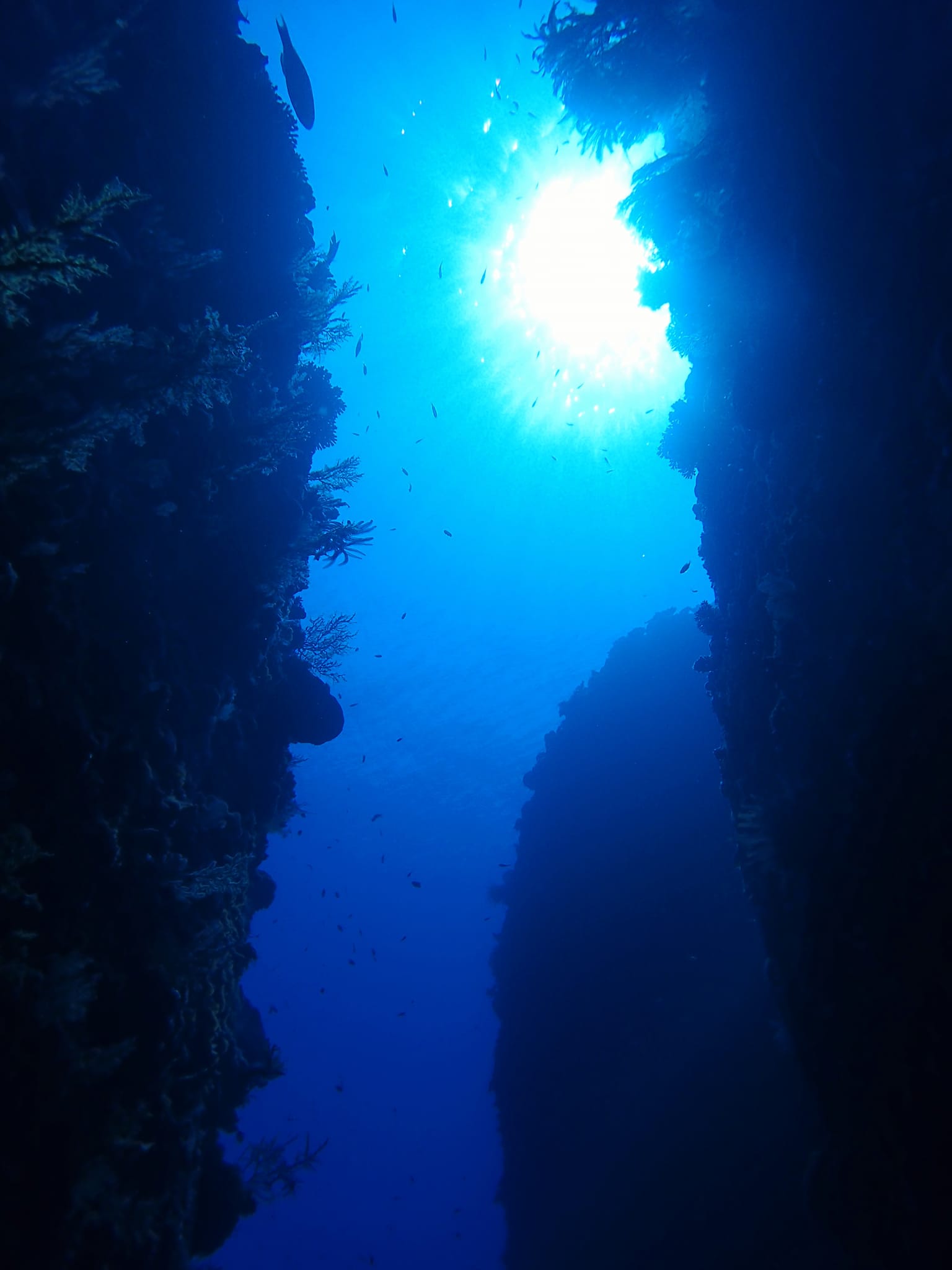 454860303_3231999240264908_7908121312019965903_n