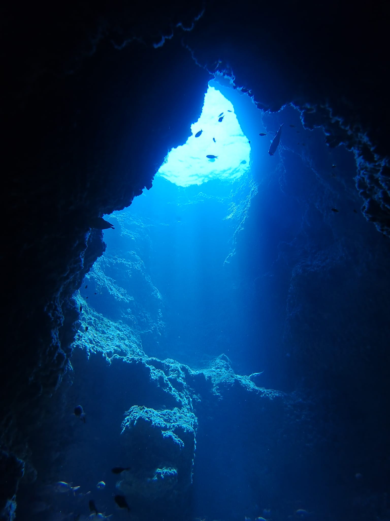 454957598_3231999560264876_5430625043321909766_n