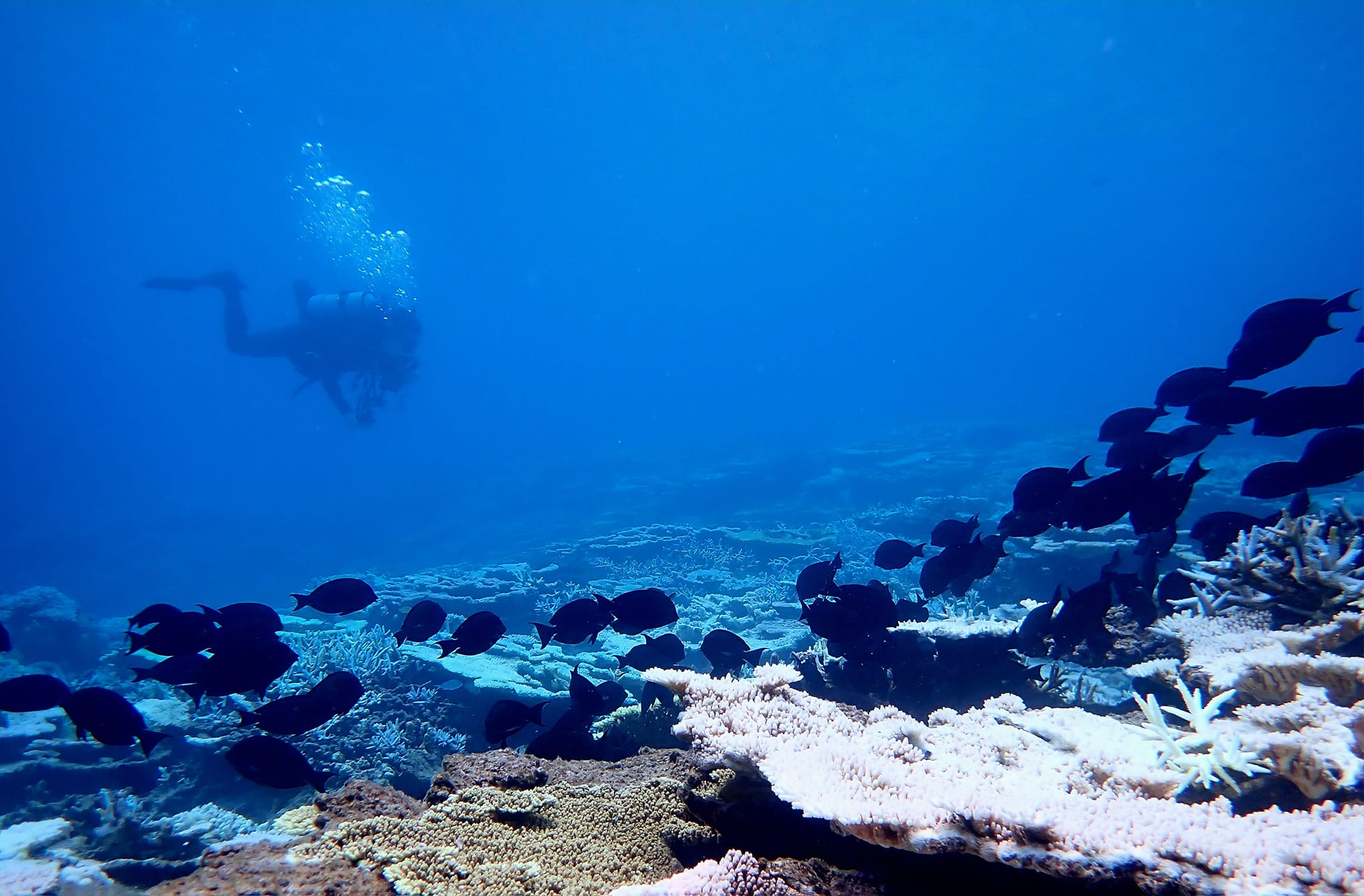 454969922_3231415613656604_7149598476523819248_n