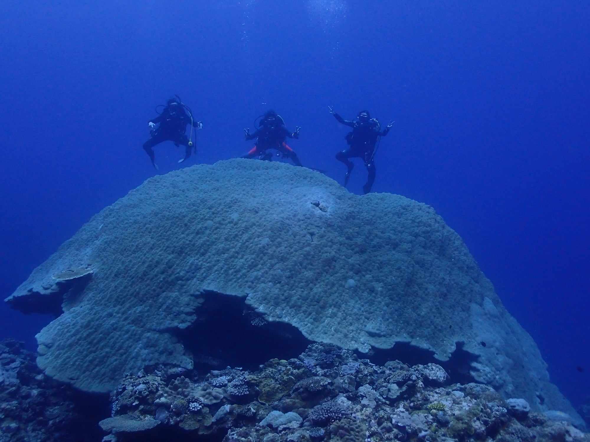 454987960_3235055796625919_6717079368482710369_n