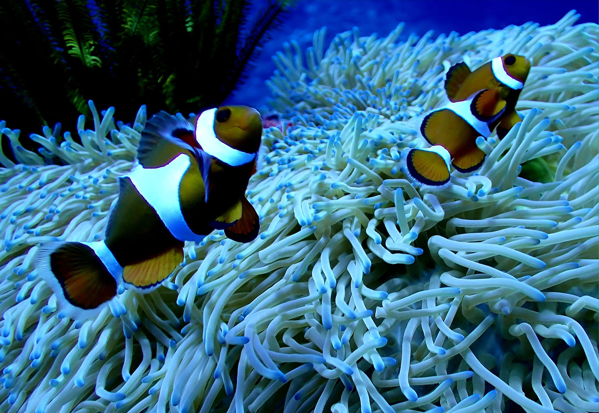 455011632_3233935236737975_3009425839478803843_n