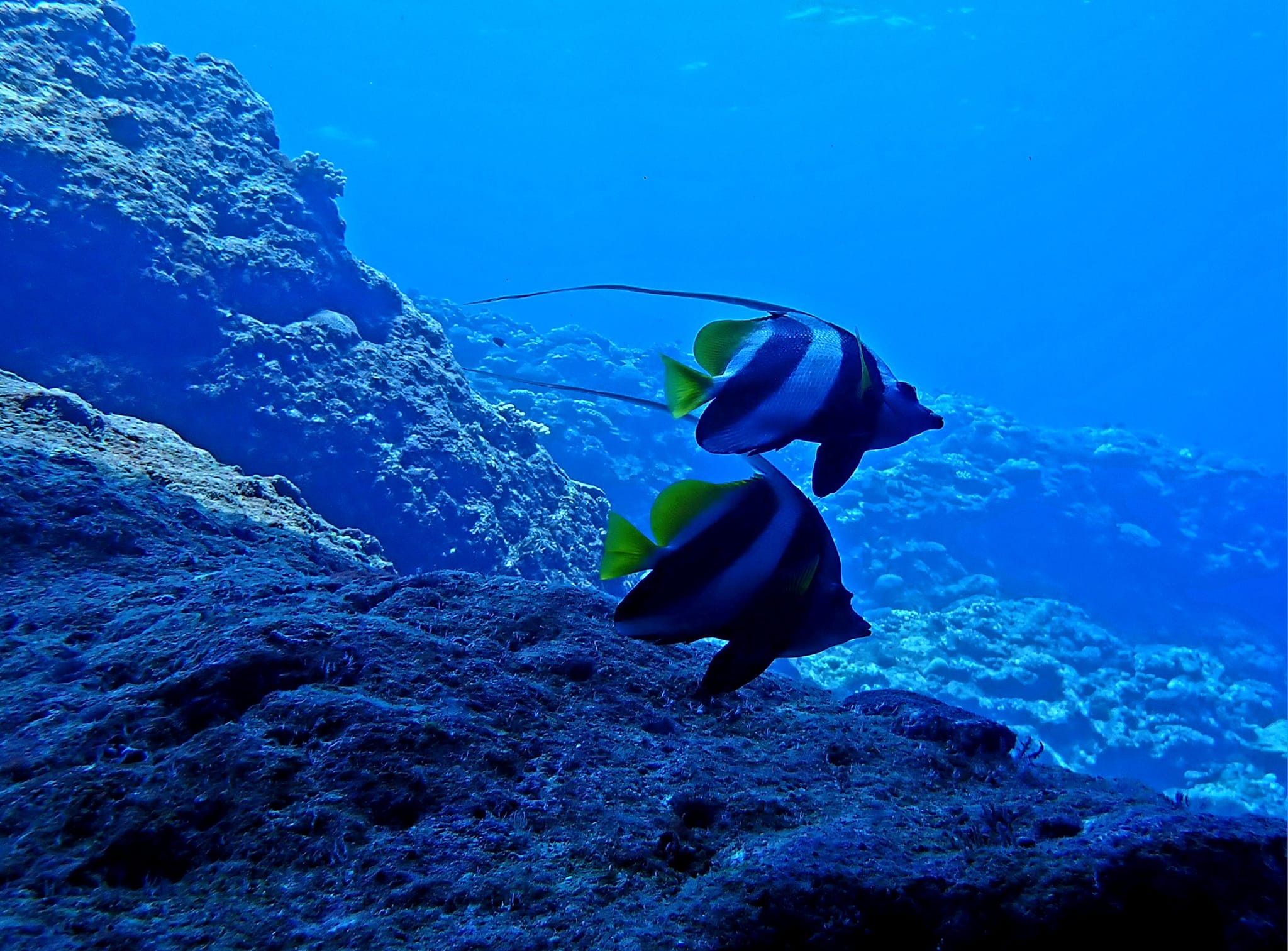 455064288_3235955126535986_4145621536422116467_n