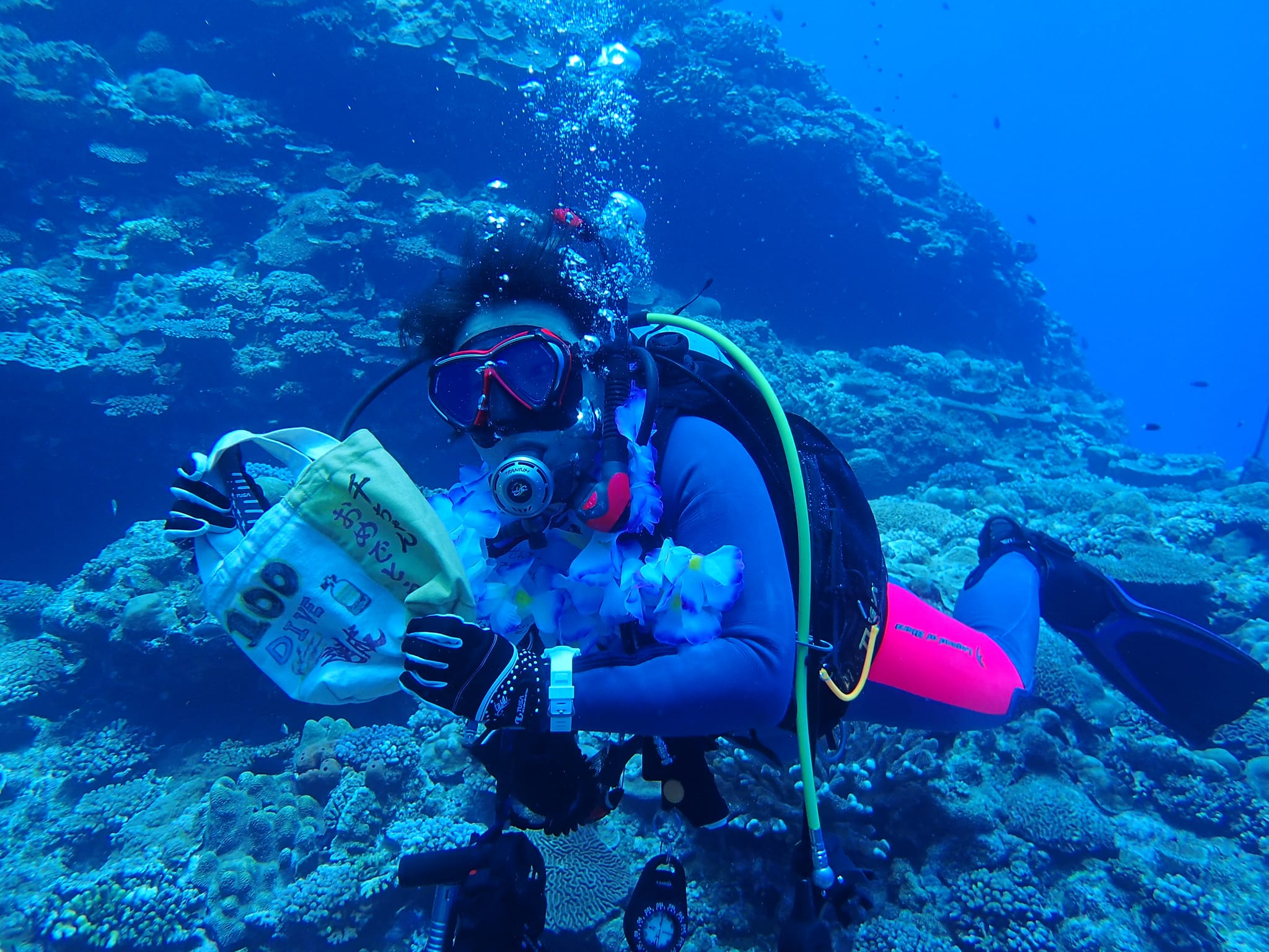 455118816_3233935310071301_9052682643650298235_n