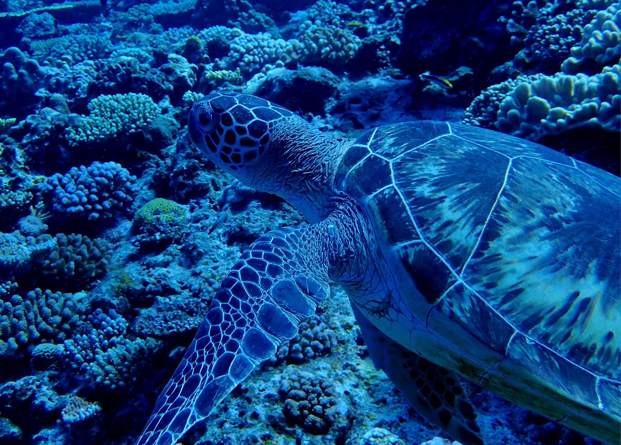 455244868_3233935373404628_1364898822670397469_n