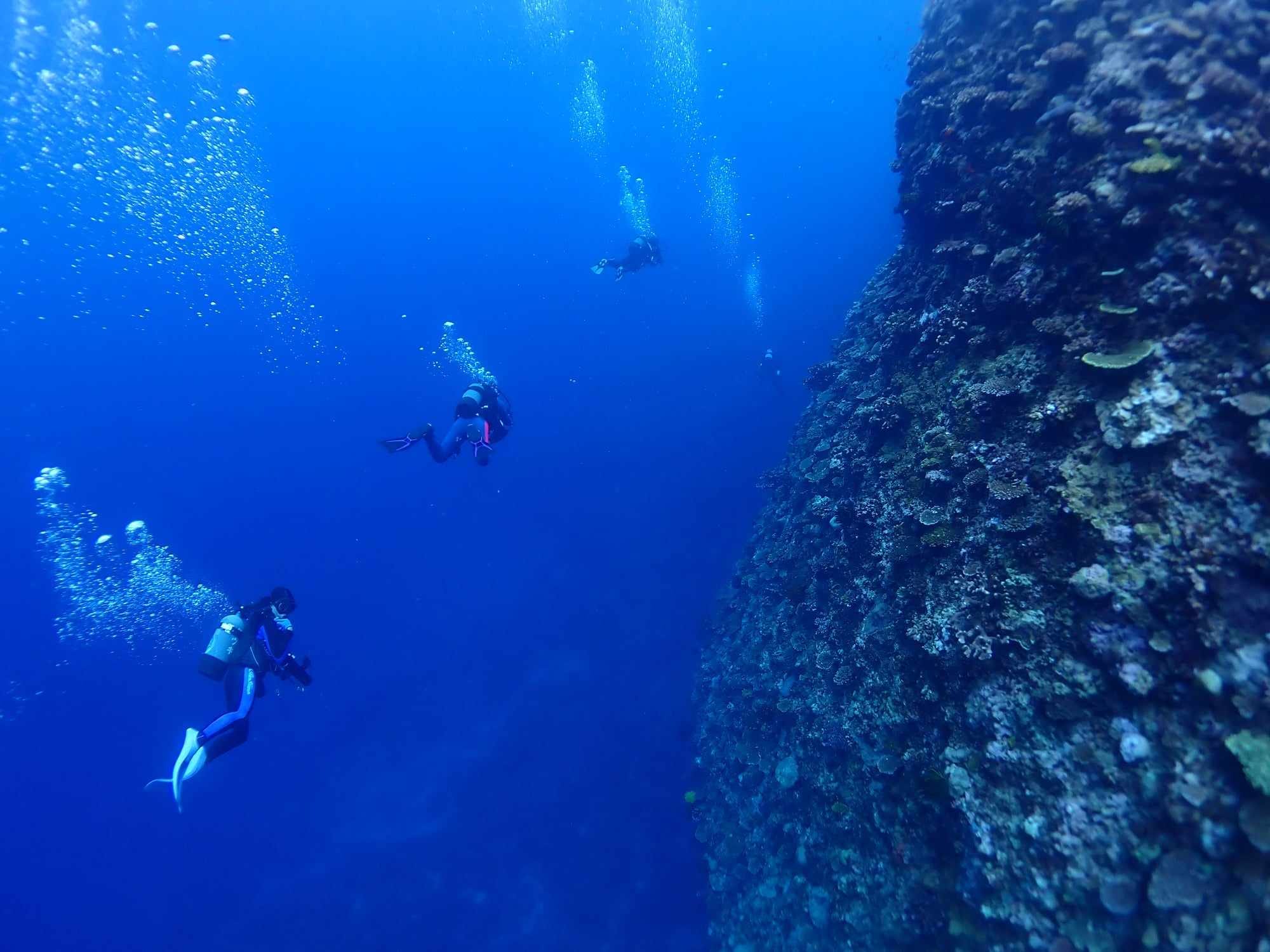 455288170_3235055609959271_6523986406331882938_n