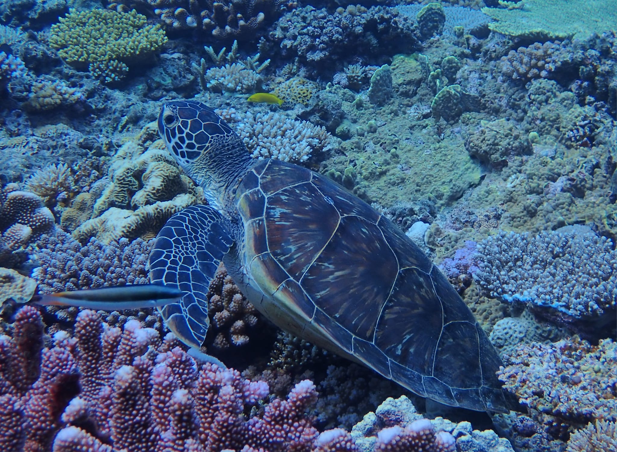 455357424_3237030769761755_7653316946724352614_n