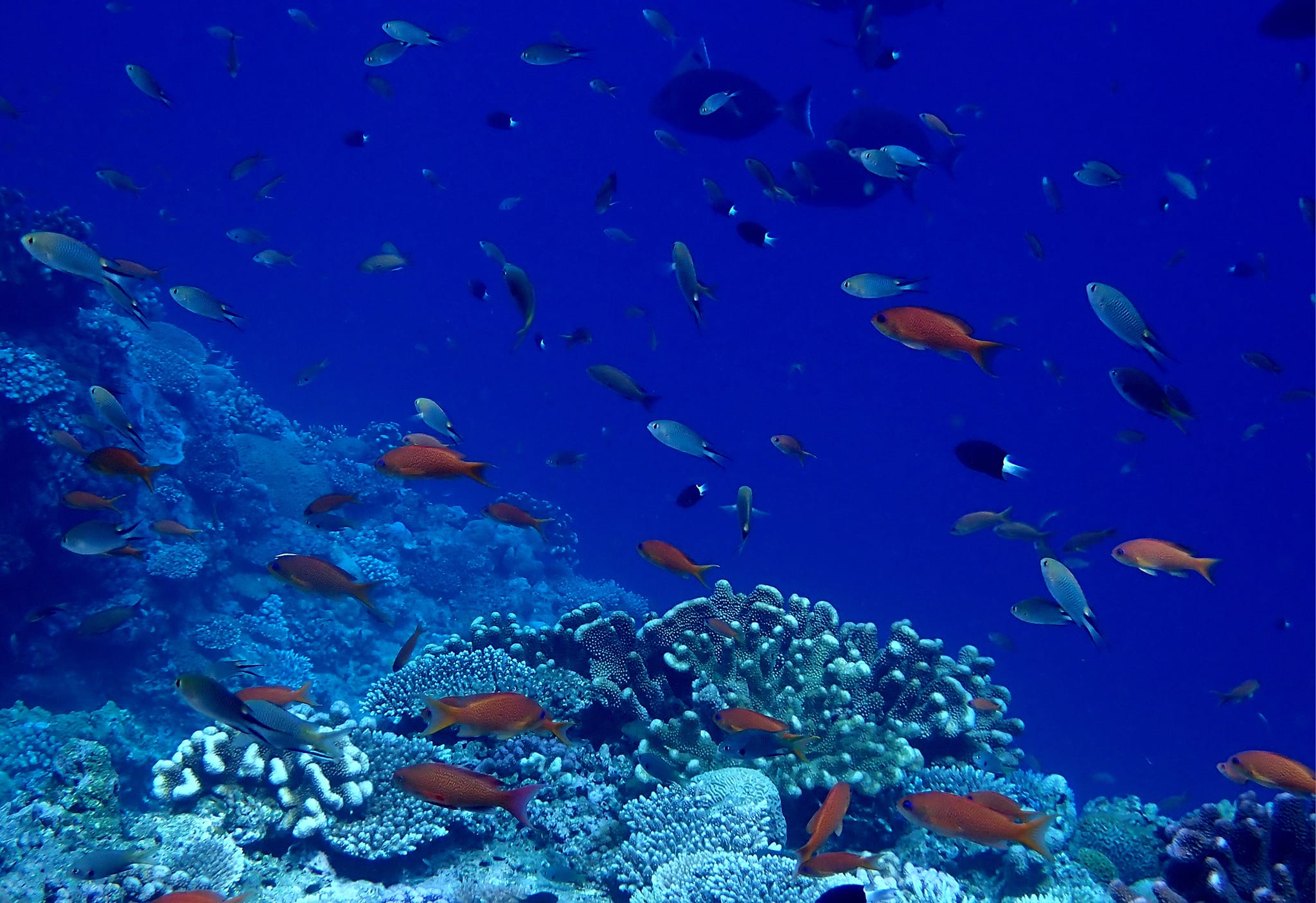 455448250_3238121952985970_2830255844643371623_n