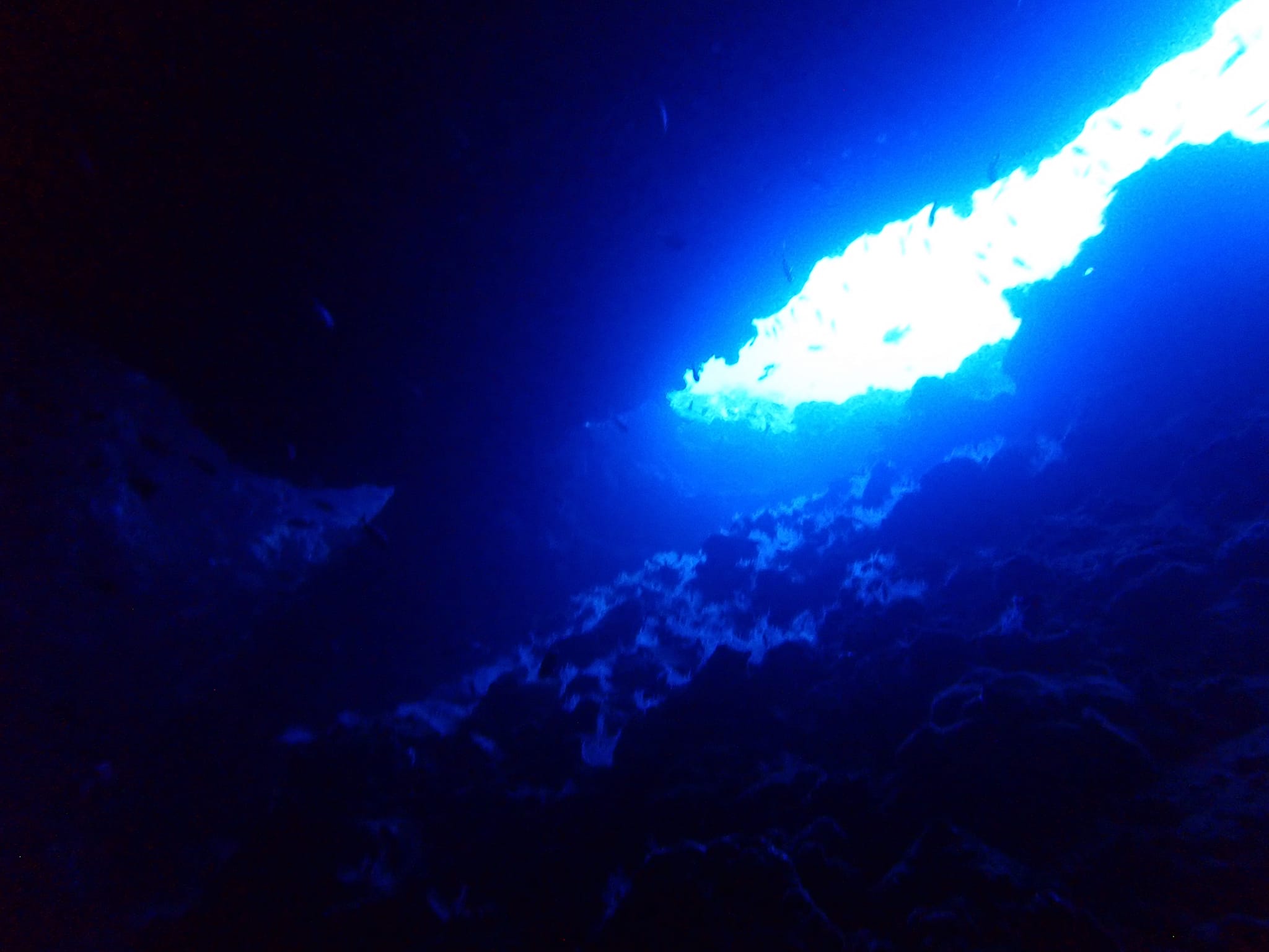 455658886_3235955173202648_5685265228989237566_n