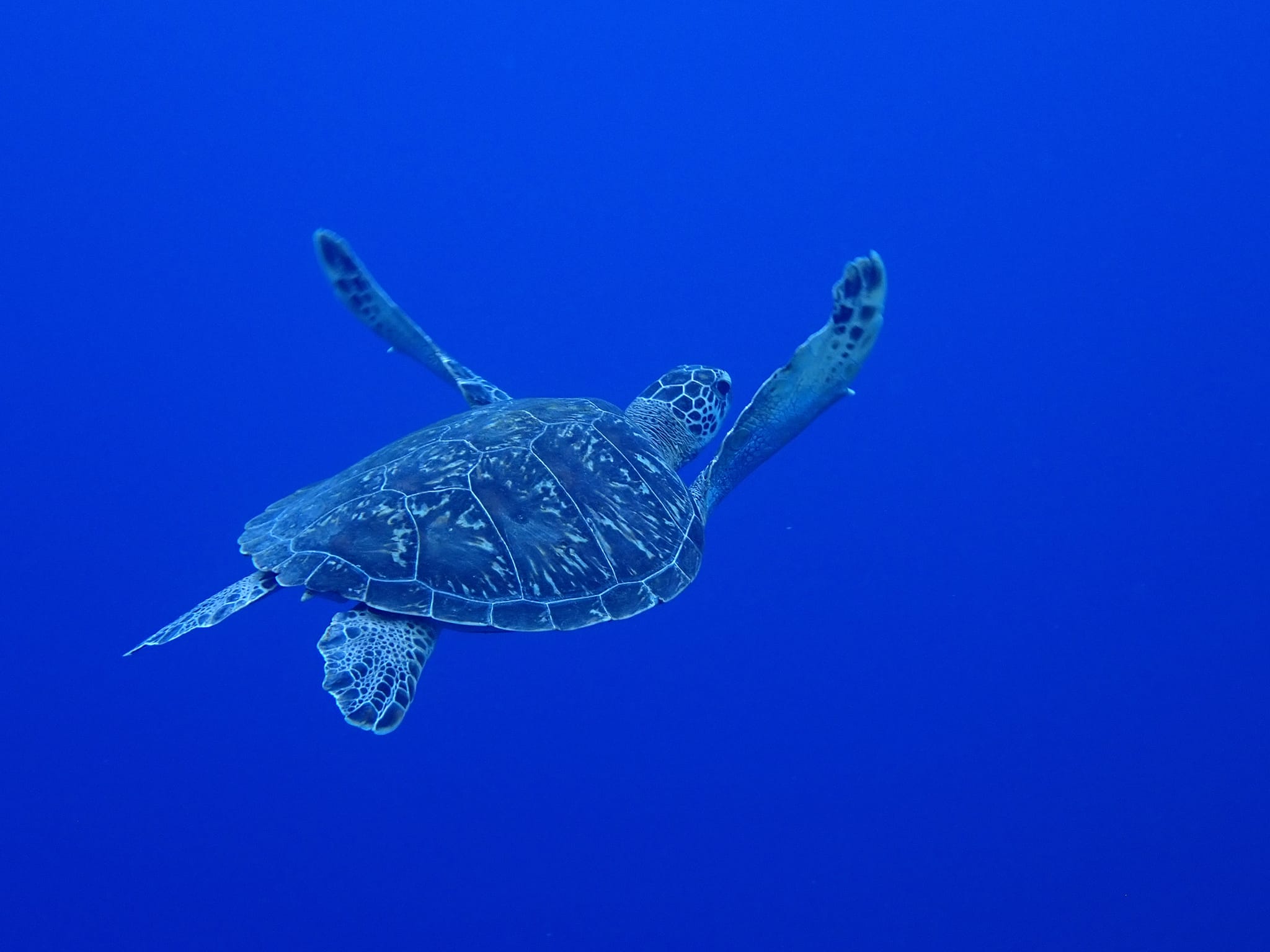 455969486_3237030576428441_7411330040119098871_n