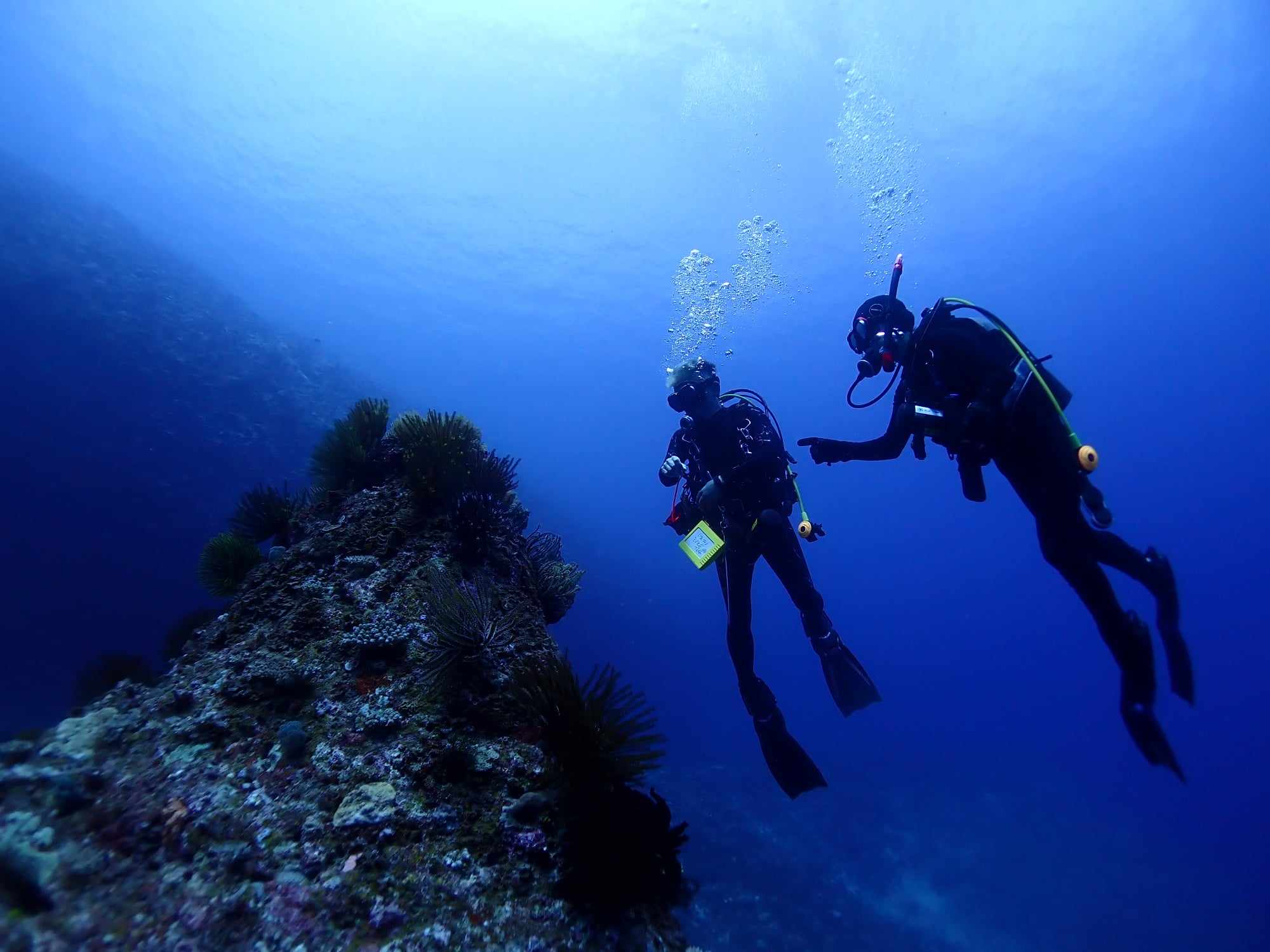 Messenger_creation_a784d183-b59b-4db9-bdcf-e500d043ee29