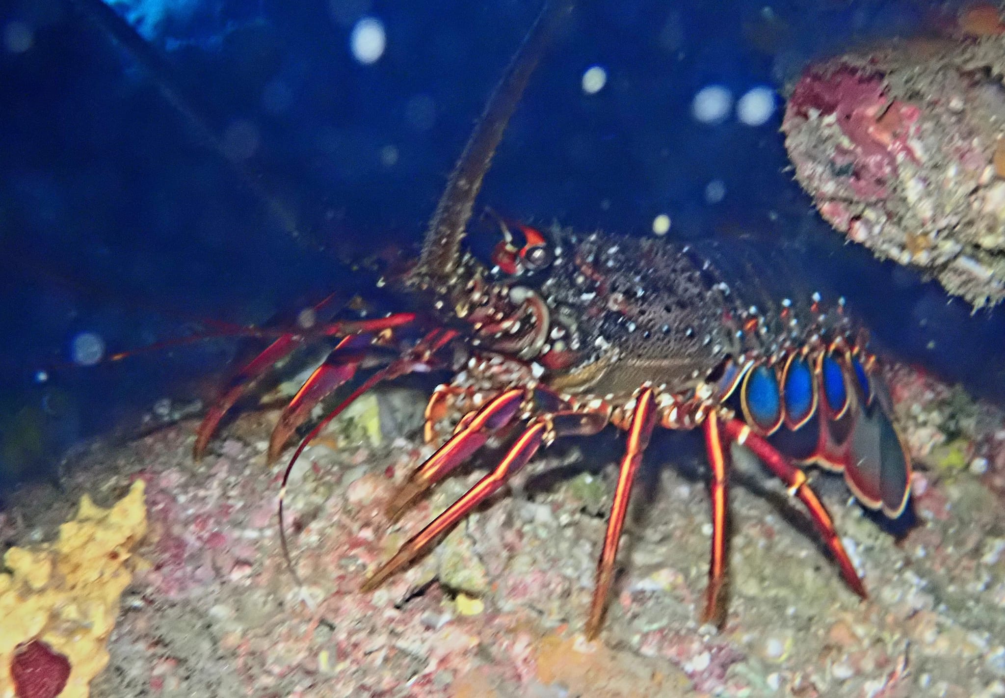 459756240_3268741516590680_2727770425966295636_n