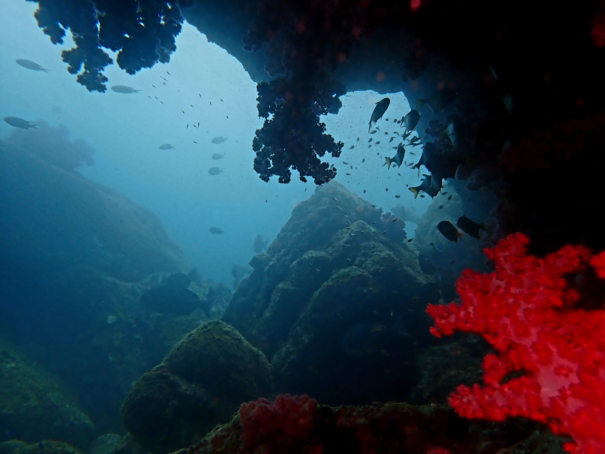 462169901_3290769524387879_6406711470792850193_n