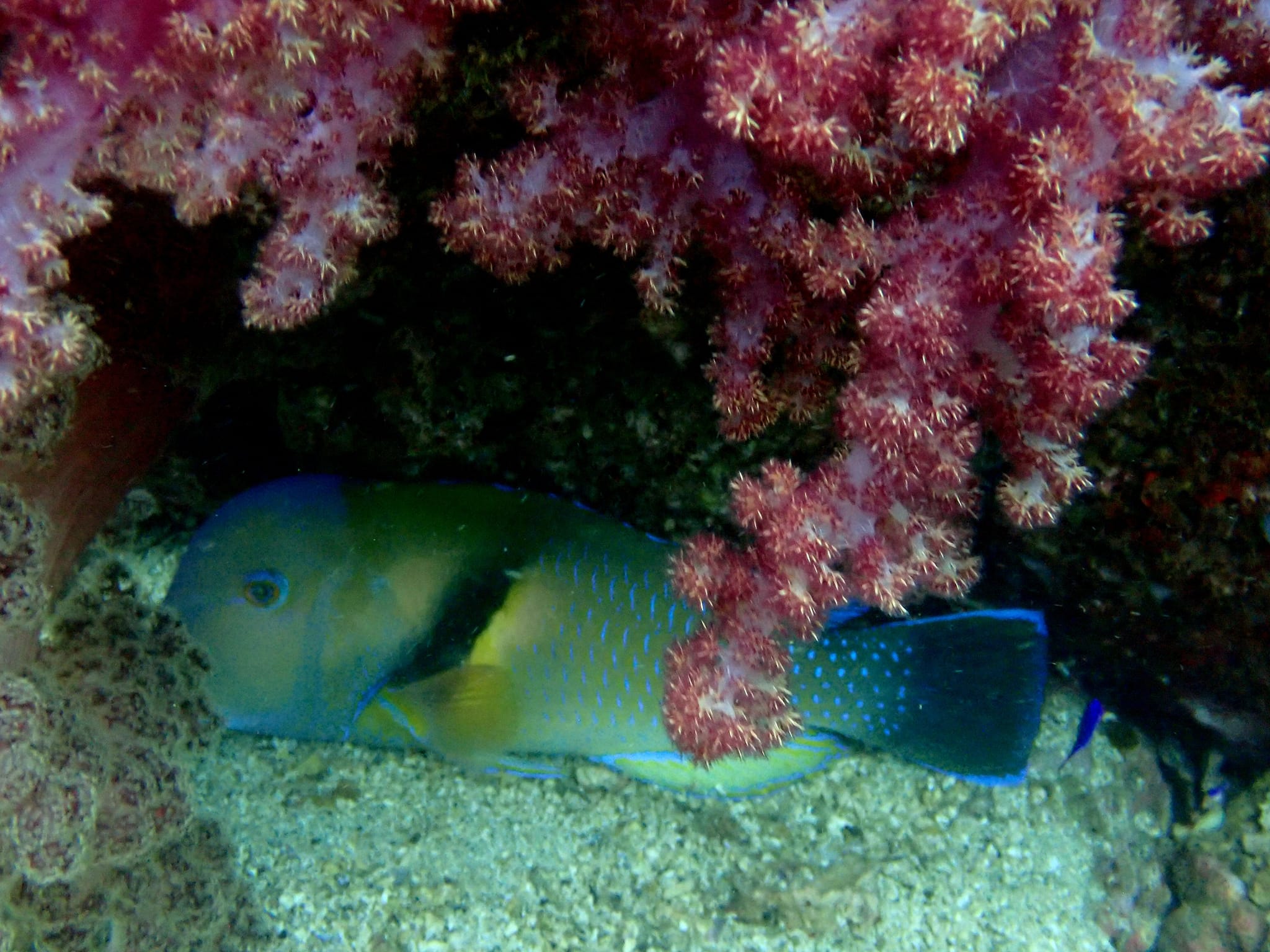 462222297_3290769714387860_7397123652496793224_n