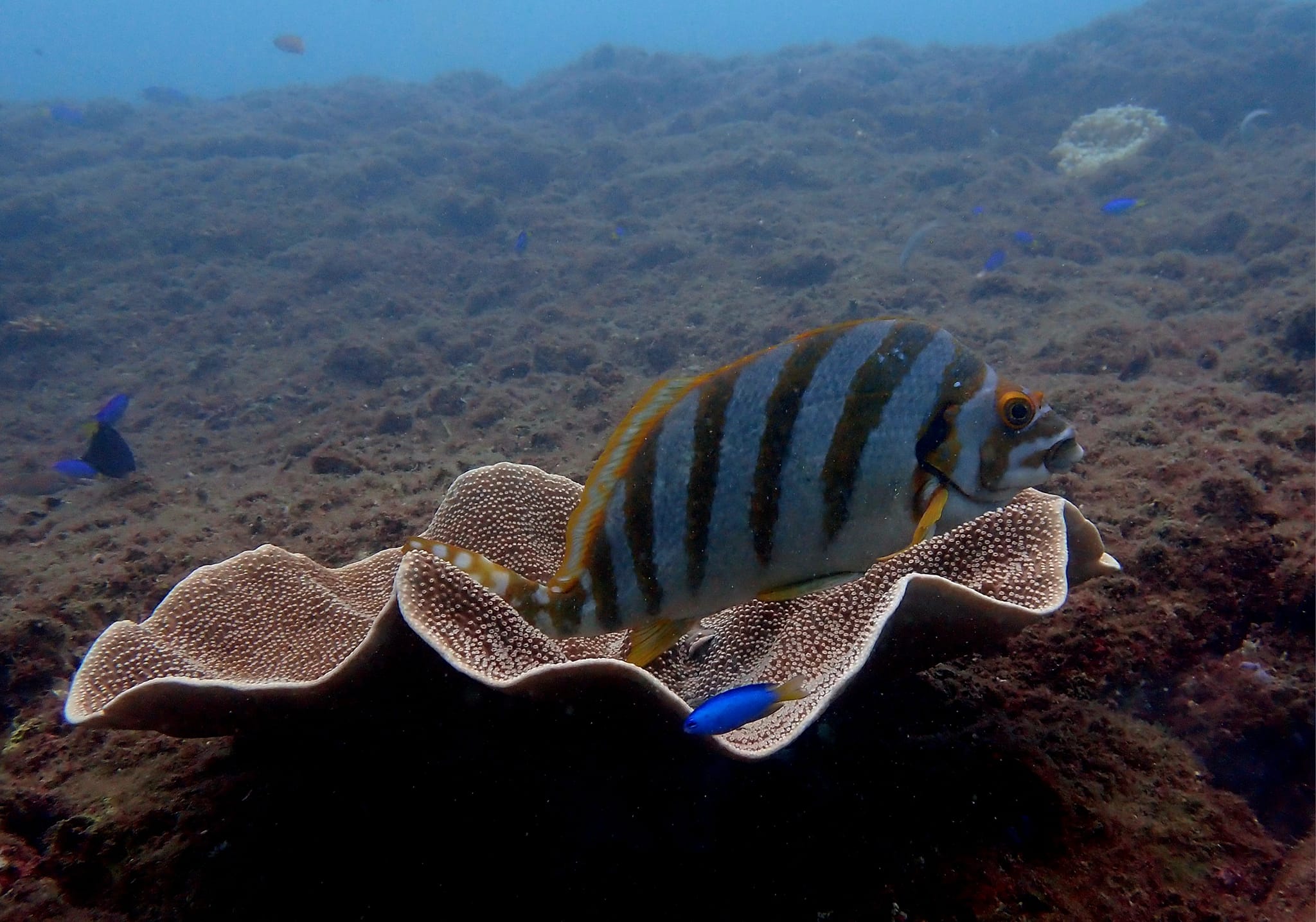 462270734_3290769594387872_1672096607905111128_n