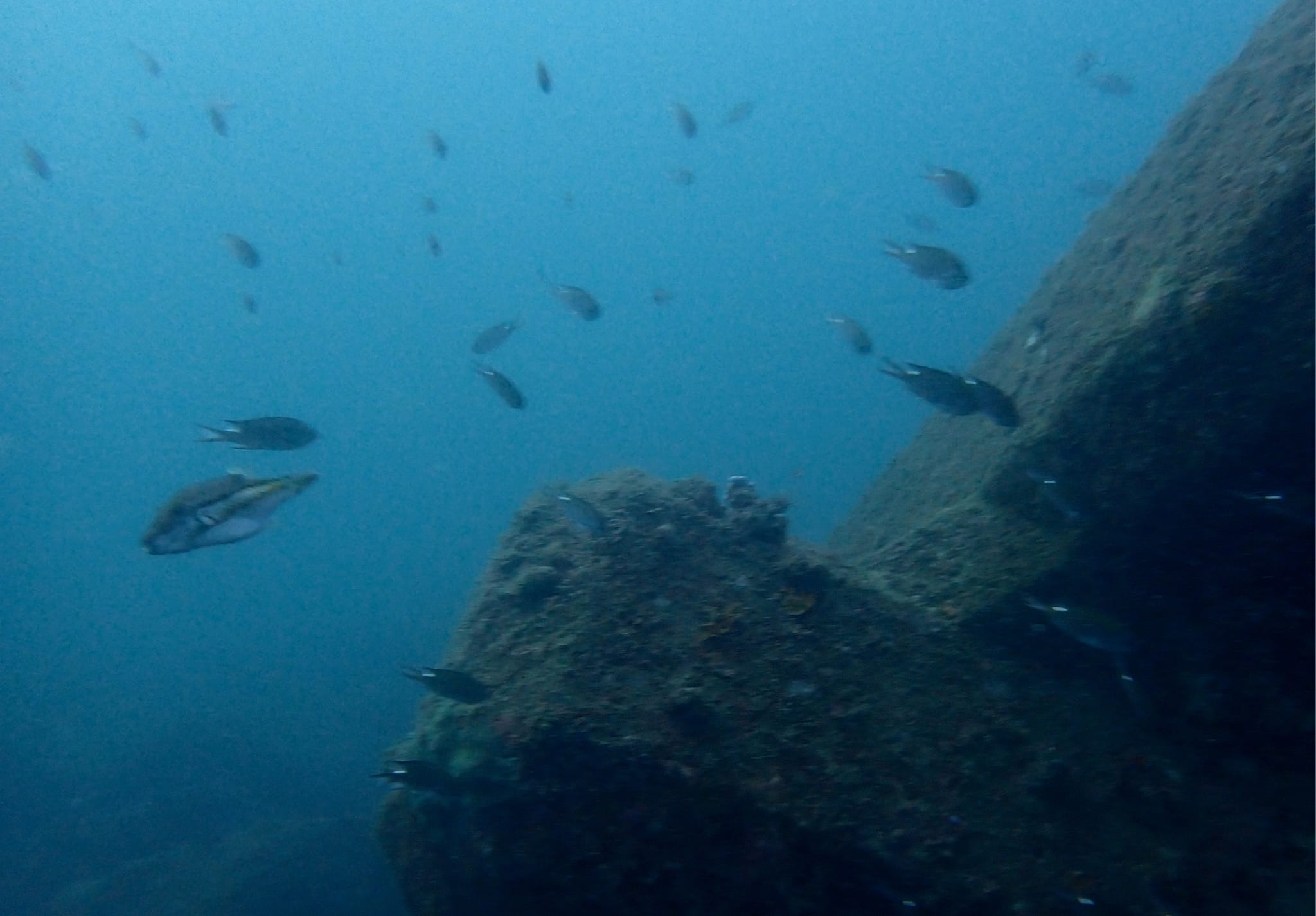 467952897_3357840884347409_3774530476880500219_n