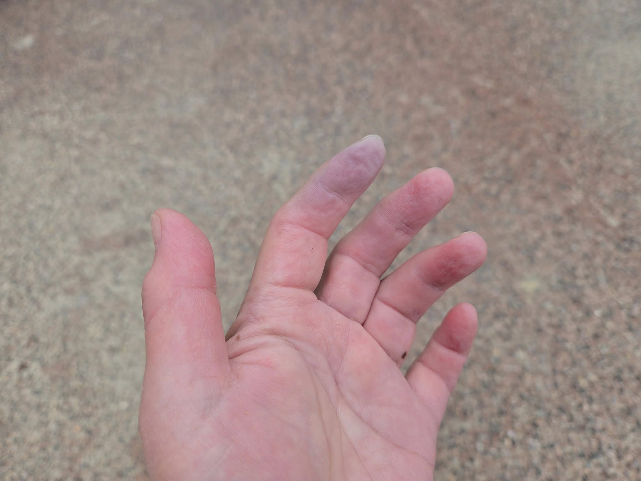 468082684_3357841051014059_5385365097375321449_n