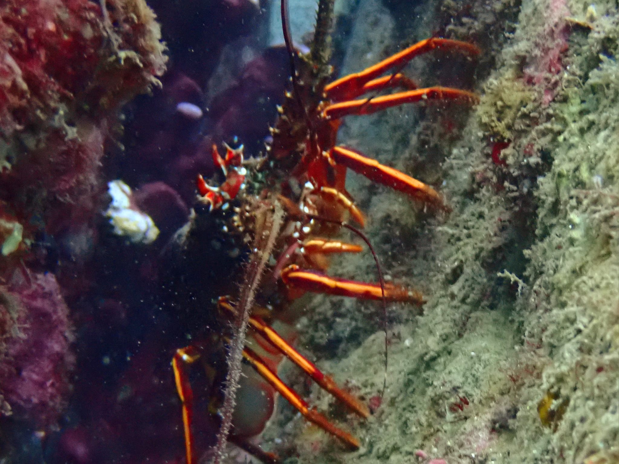 468083589_3357840797680751_9203641121222578069_n