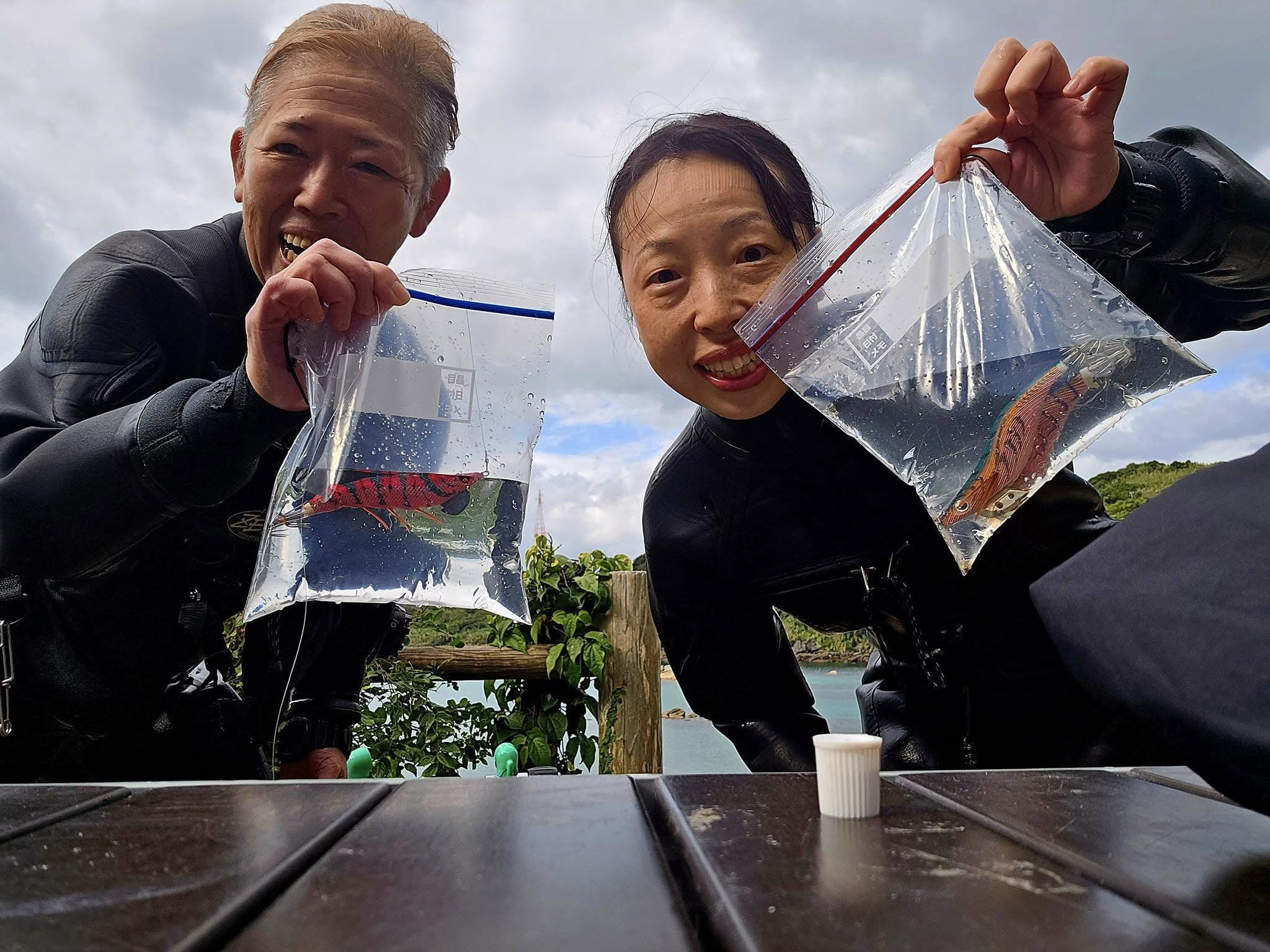 468153066_3357841007680730_5307328591894582851_n