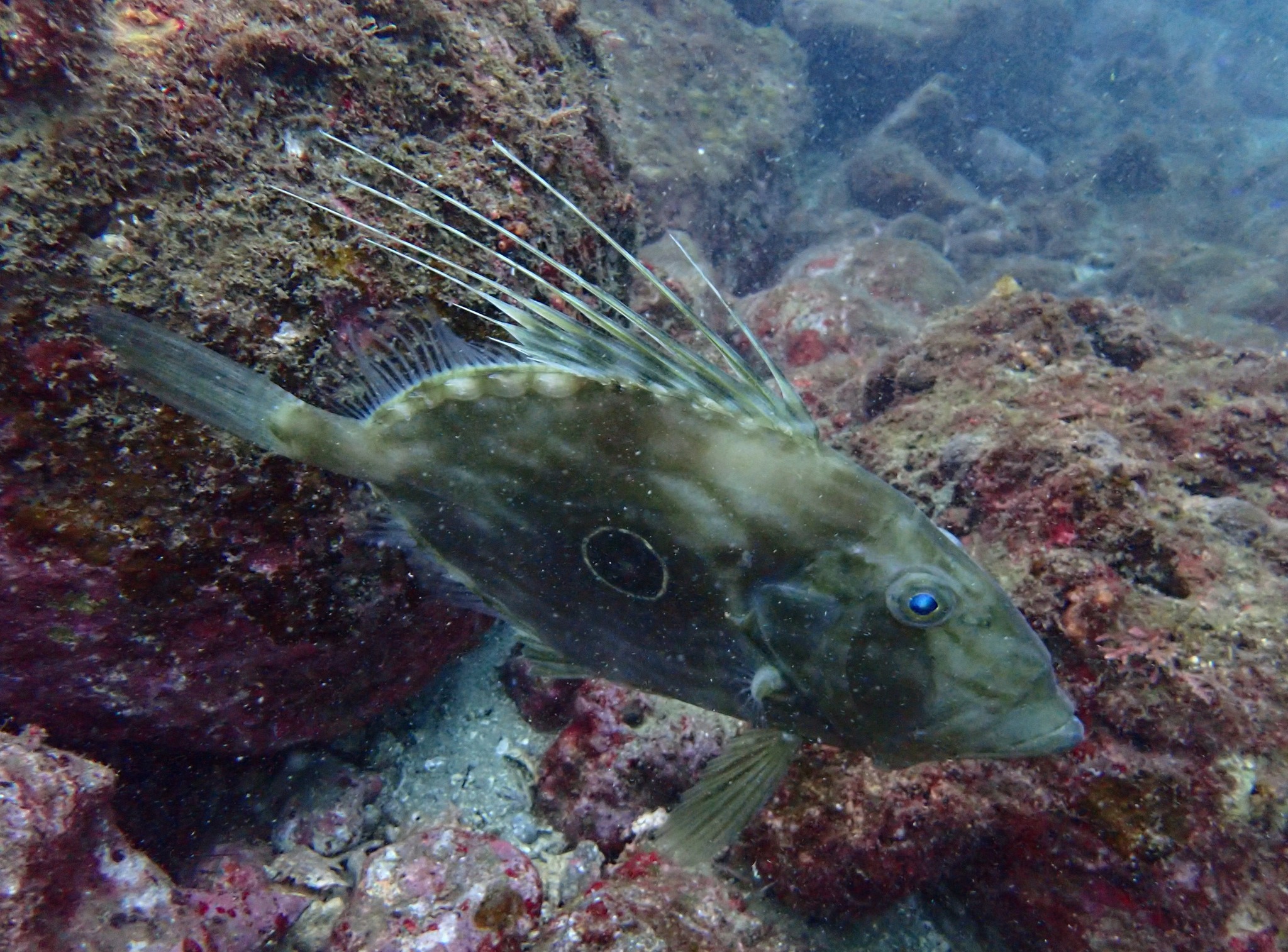 471599399_3388829524581878_7308298326545518352_n