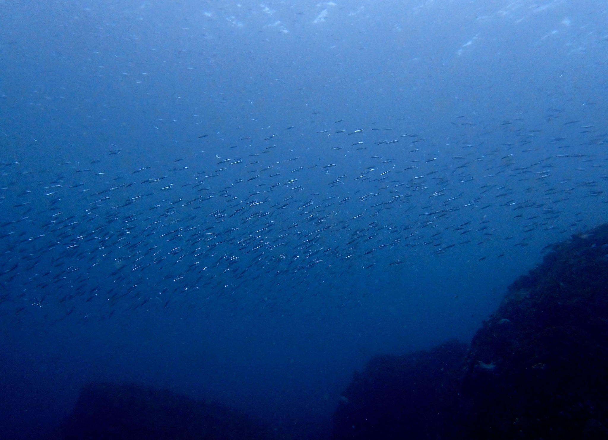 472128877_3388829641248533_2525452011566767620_n