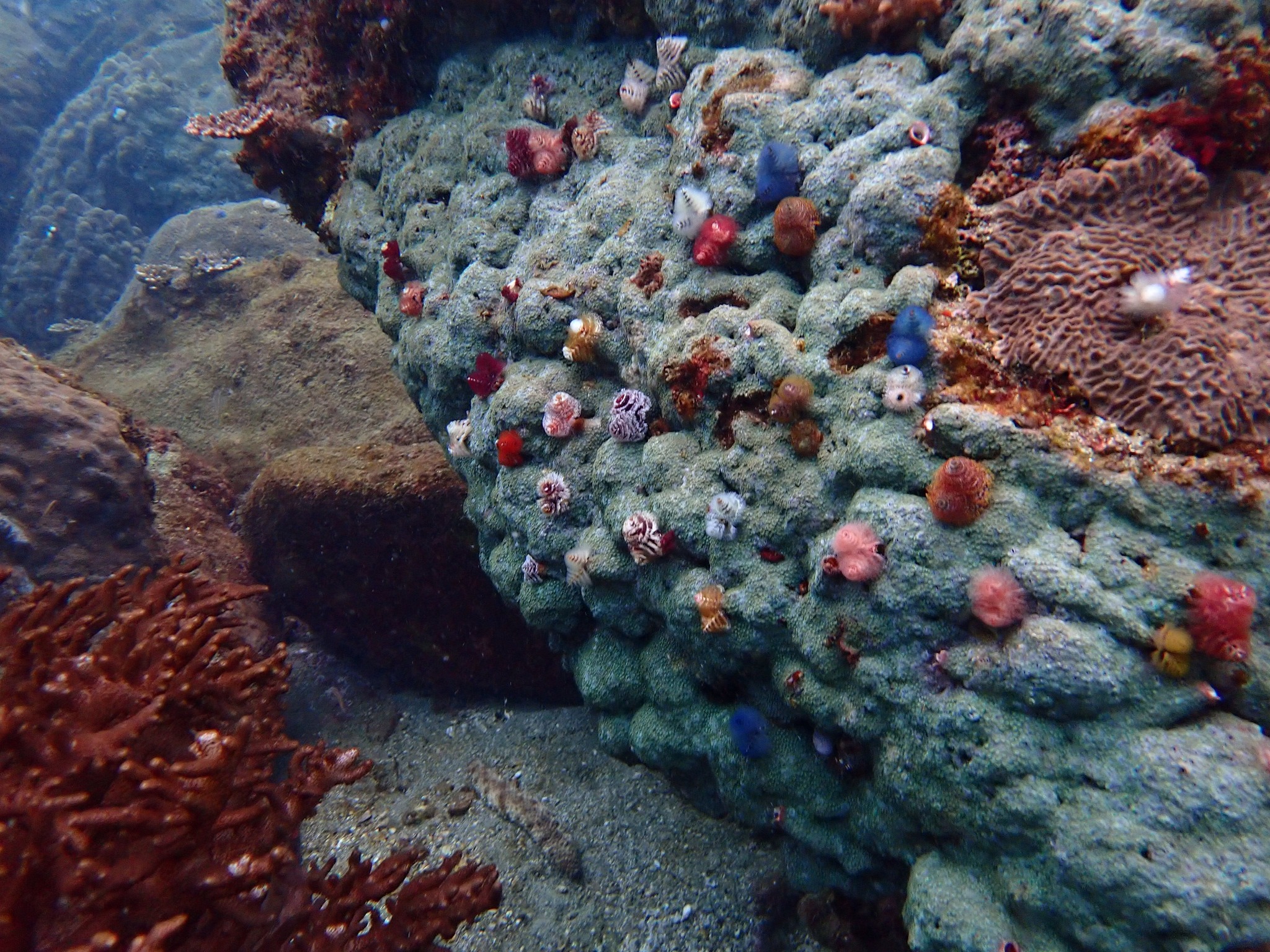 472209739_3394067014058129_7035204933441548810_n