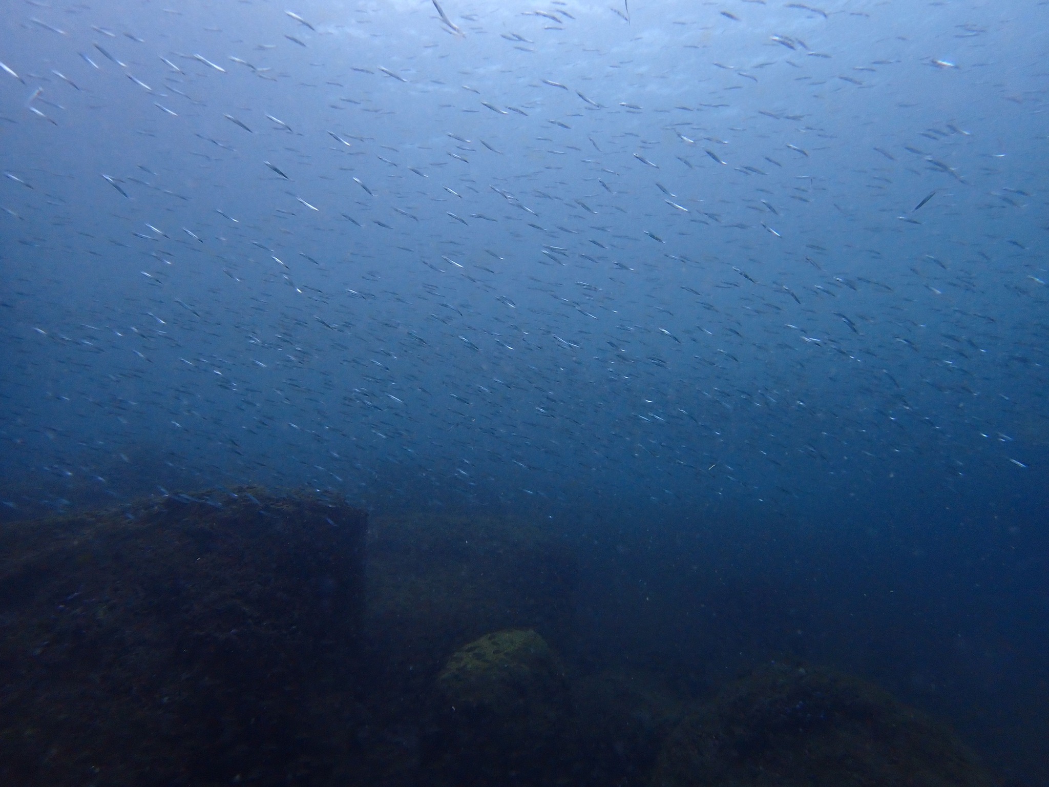 472280456_3394066937391470_1683394550886252590_n