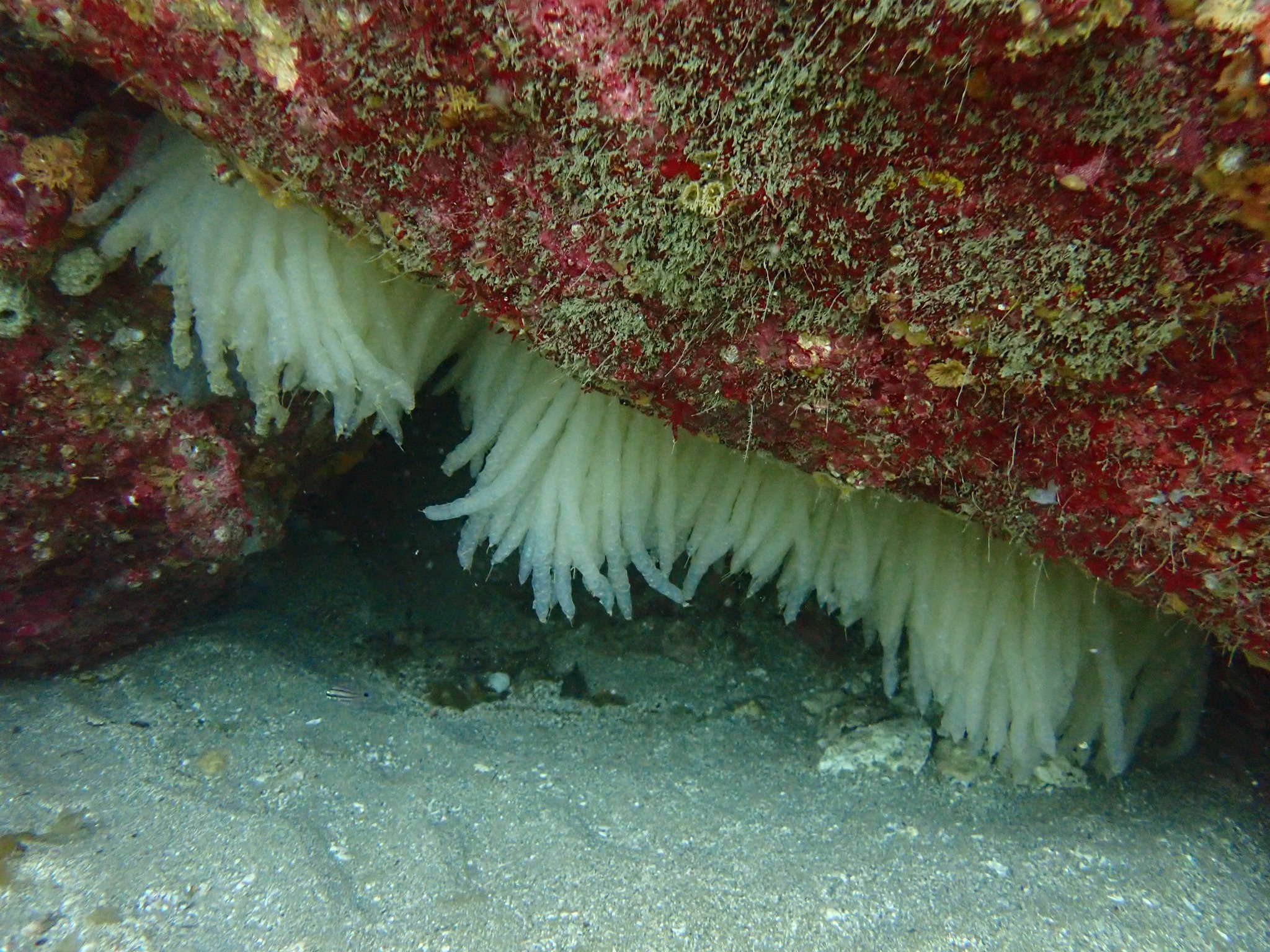 492002777_3505089139622582_3989310518907807145_n