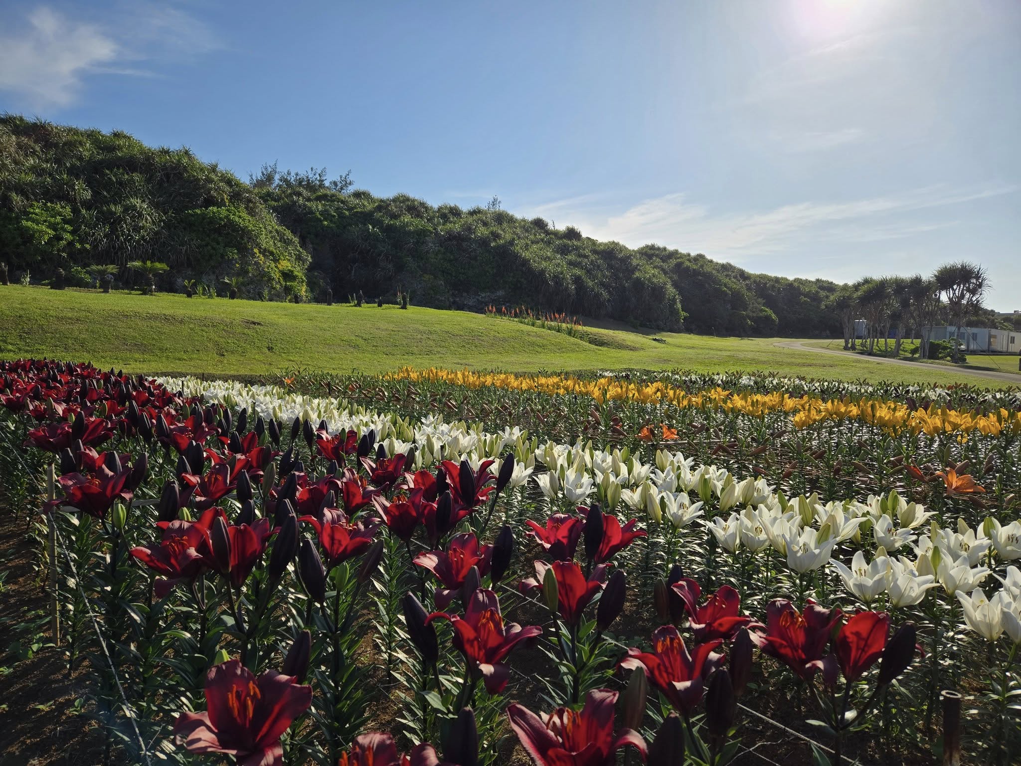 494695935_3521562847975211_4292232016132225895_n